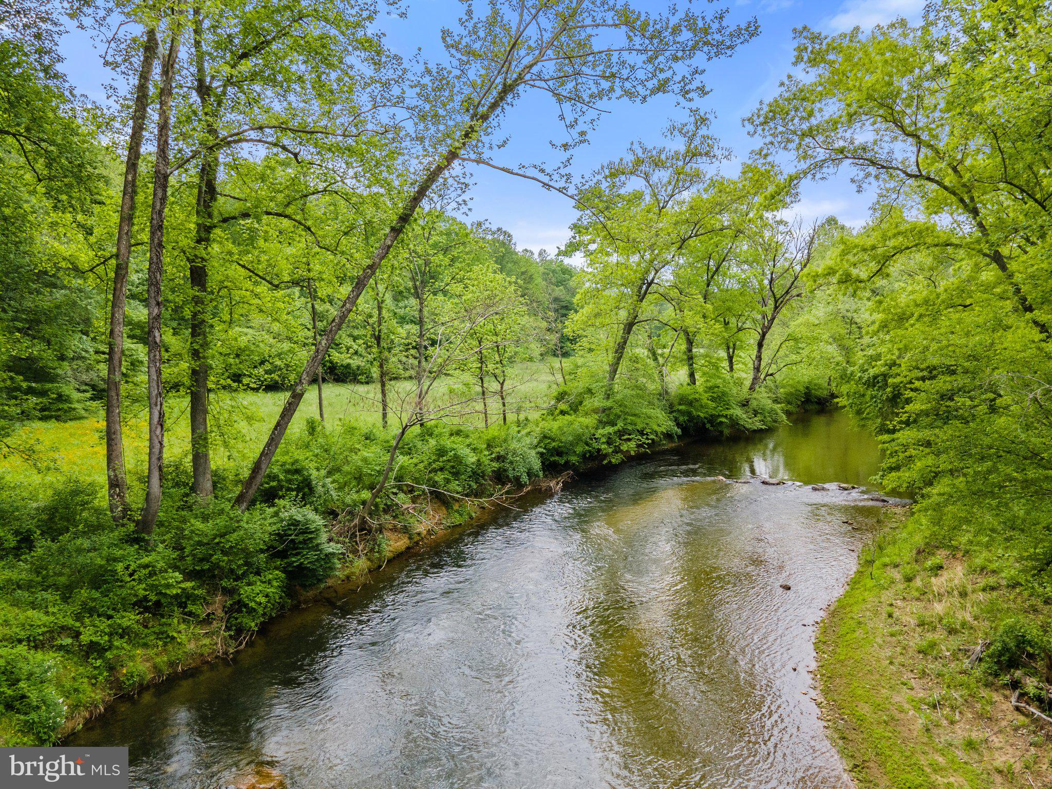 4.55 Acres Deer Lane Boston, VA 22713 - Photo 25 of 44