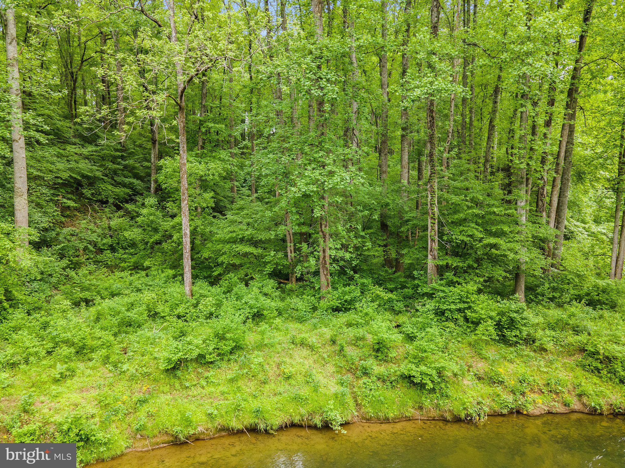 4.55 Acres Deer Lane Boston, VA 22713 - Photo 26 of 44