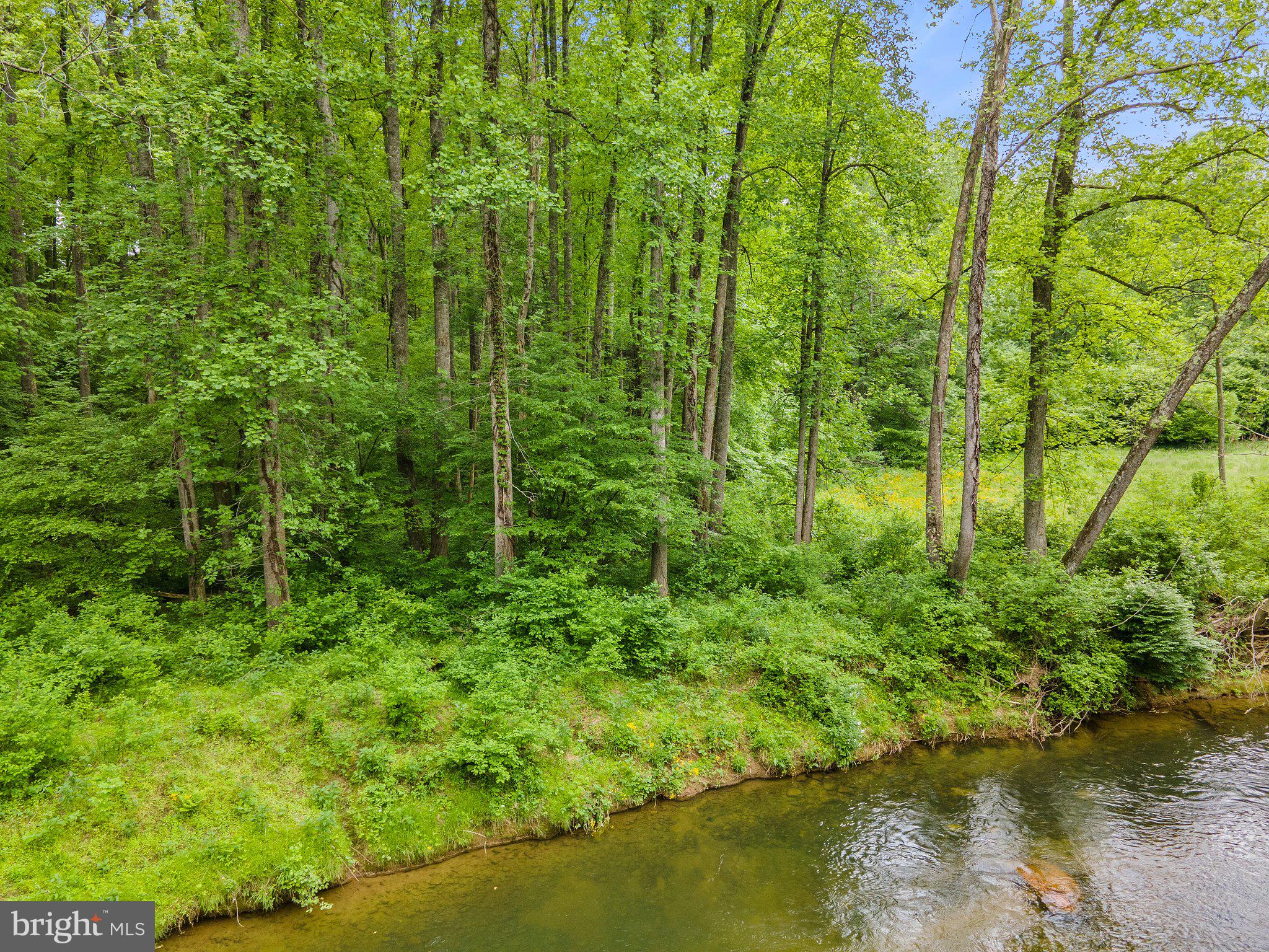 4.55 Acres Deer Lane Boston, VA 22713 - Photo 27 of 44