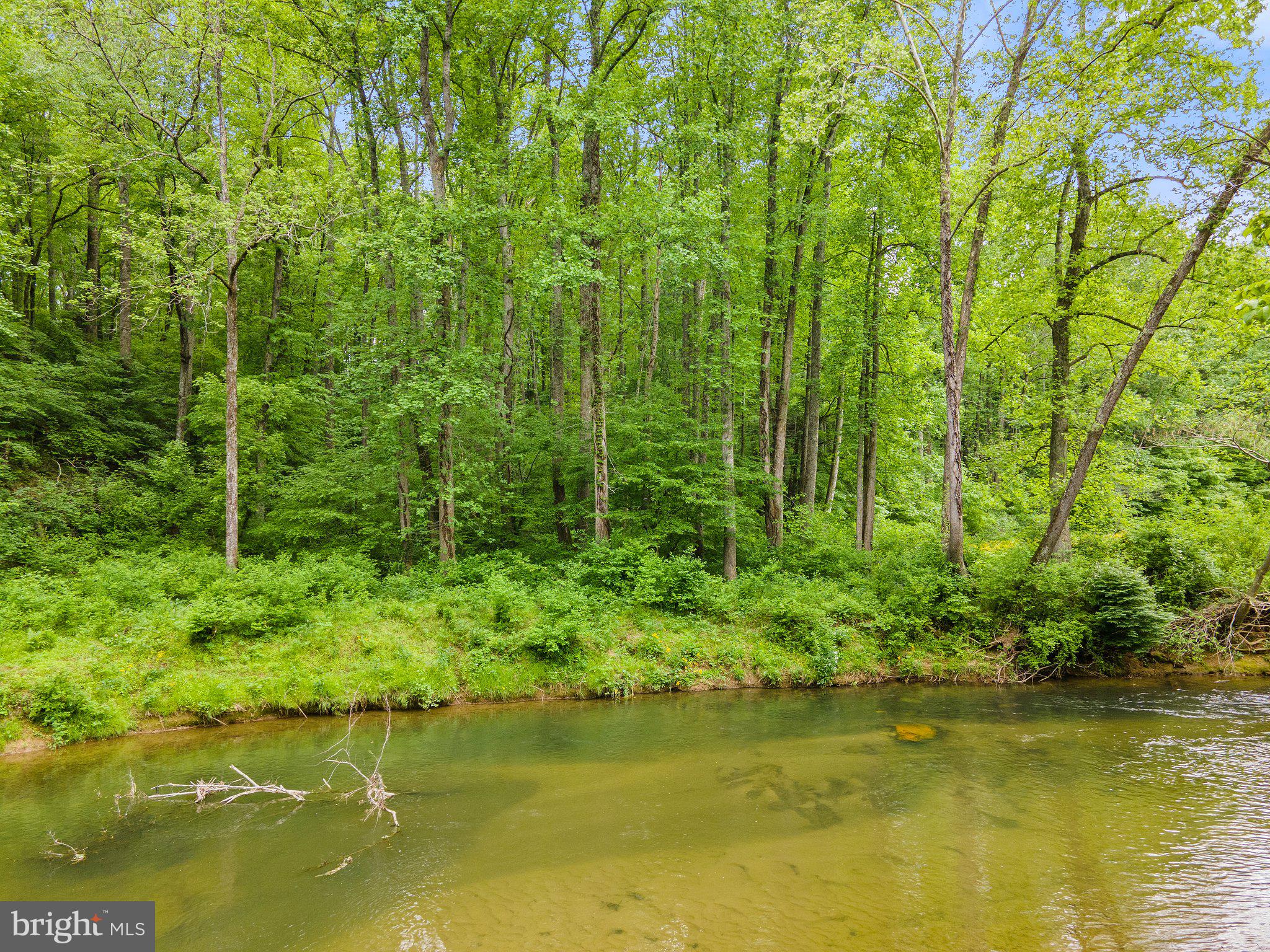 4.55 Acres Deer Lane Boston, VA 22713 - Photo 28 of 44