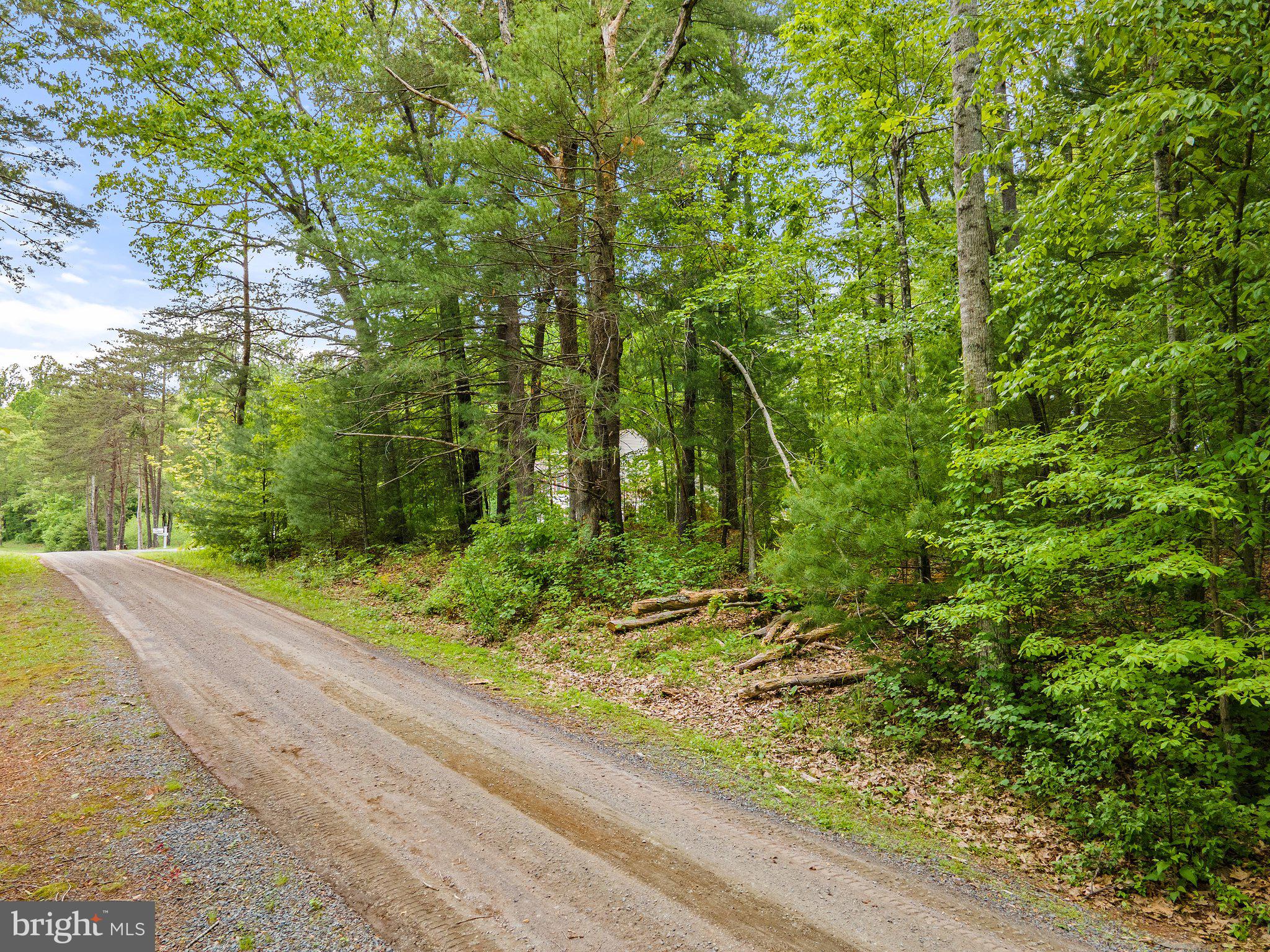 4.55 Acres Deer Lane Boston, VA 22713 - Photo 3 of 44 Deer Lane road frontage