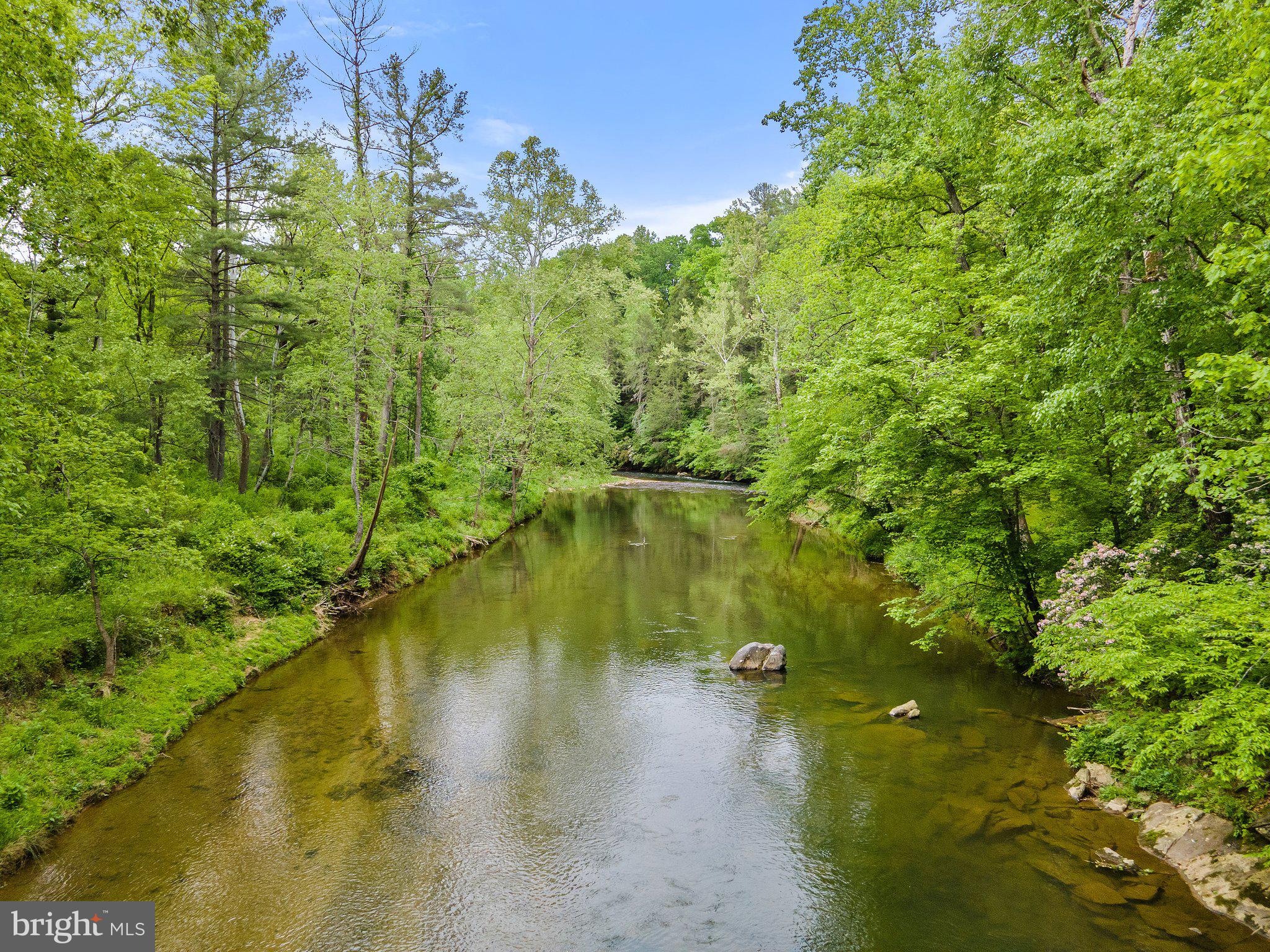 4.55 Acres Deer Lane Boston, VA 22713 - Photo 31 of 44