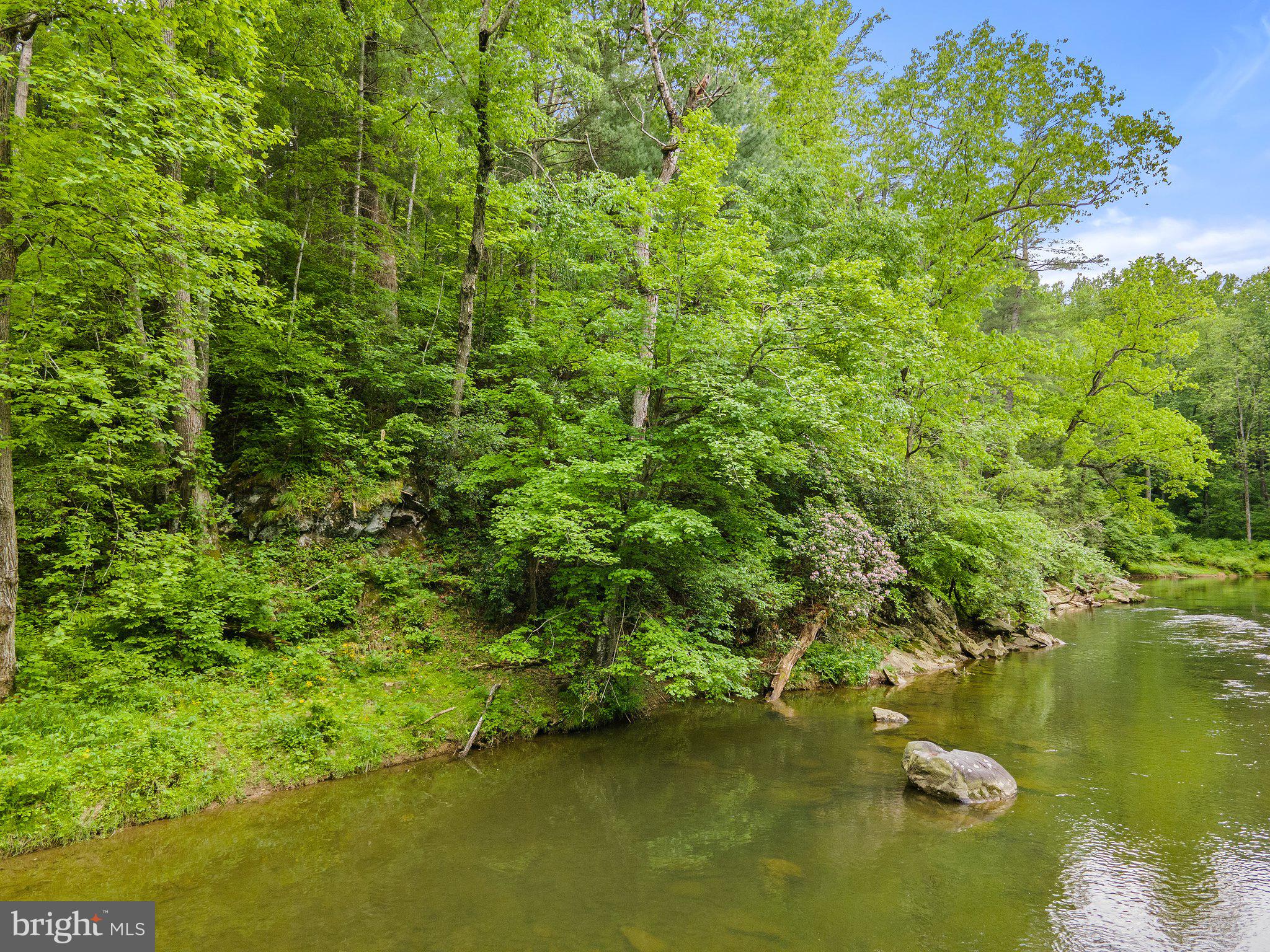 4.55 Acres Deer Lane Boston, VA 22713 - Photo 32 of 44