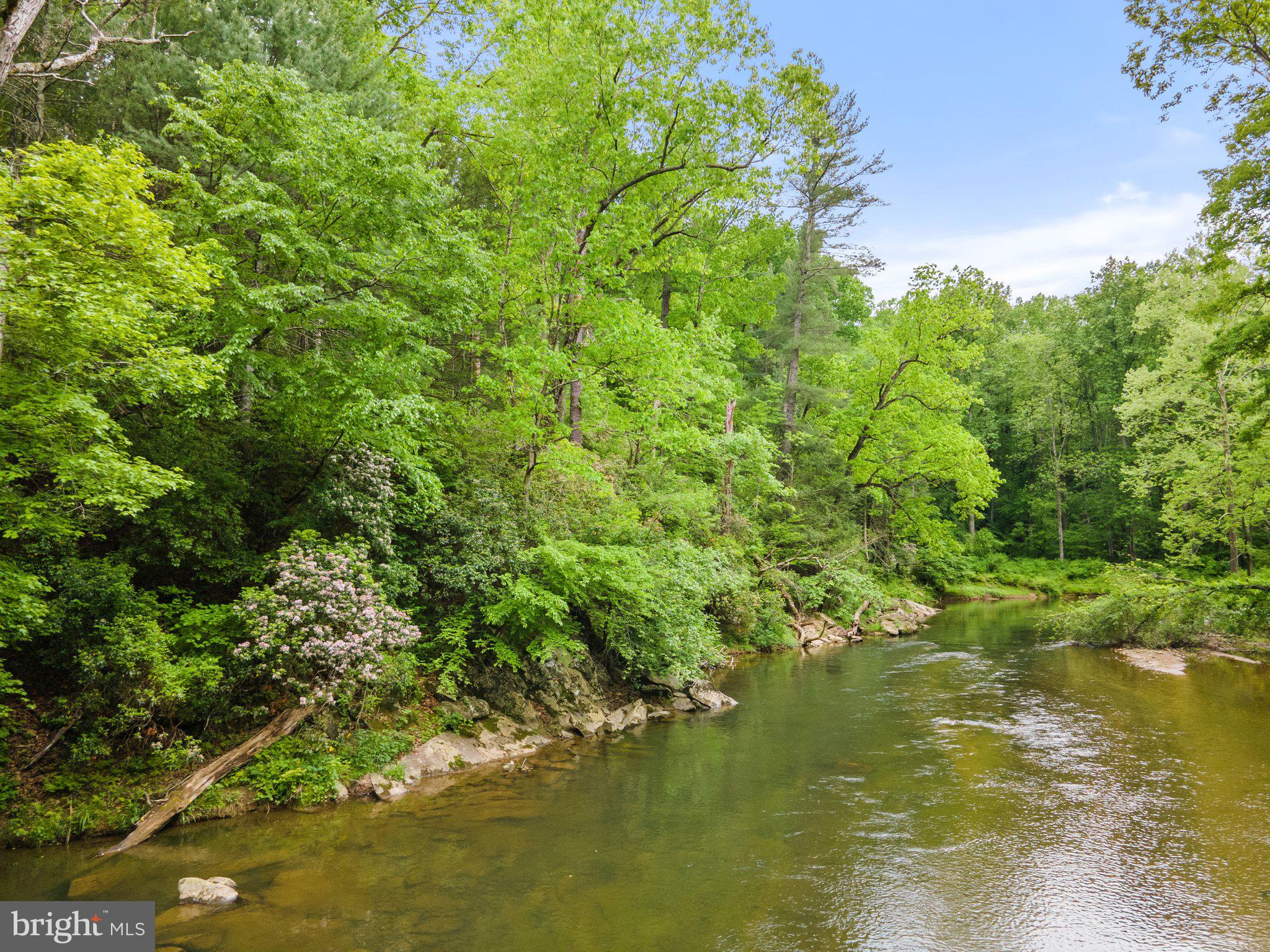4.55 Acres Deer Lane Boston, VA 22713 - Photo 33 of 44