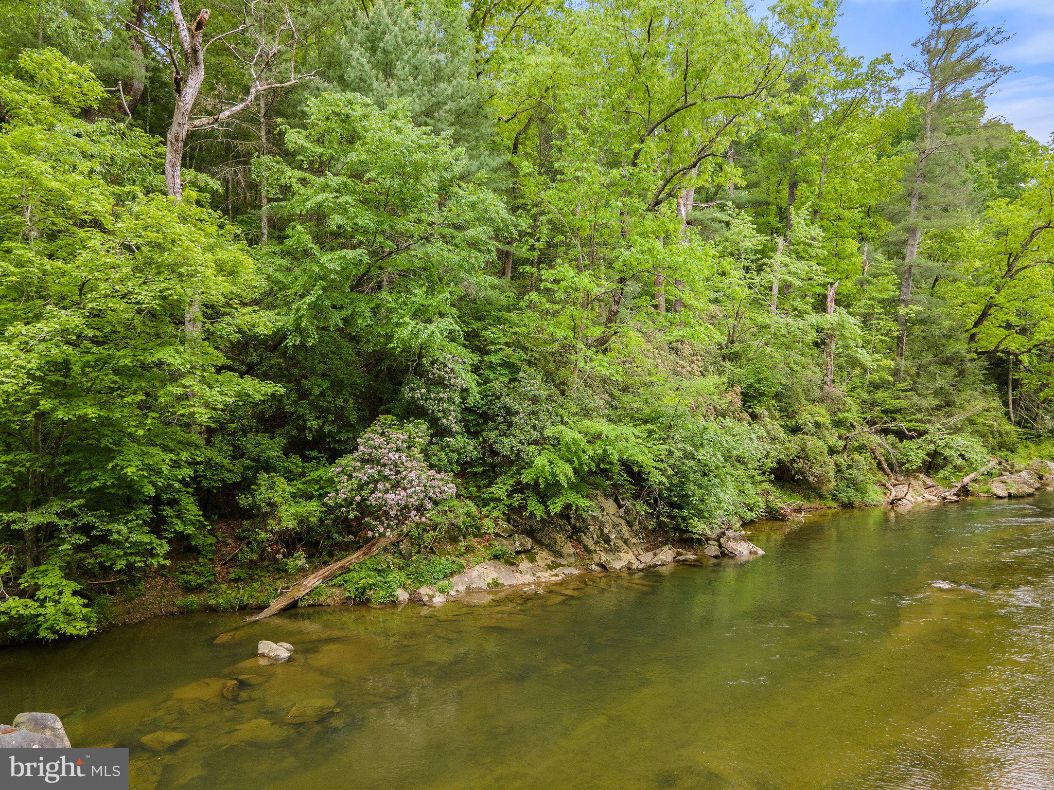4.55 Acres Deer Lane Boston, VA 22713 - Photo 34 of 44