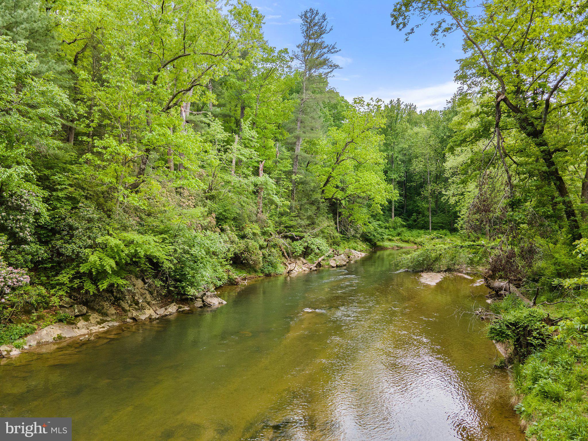 4.55 Acres Deer Lane Boston, VA 22713 - Photo 35 of 44