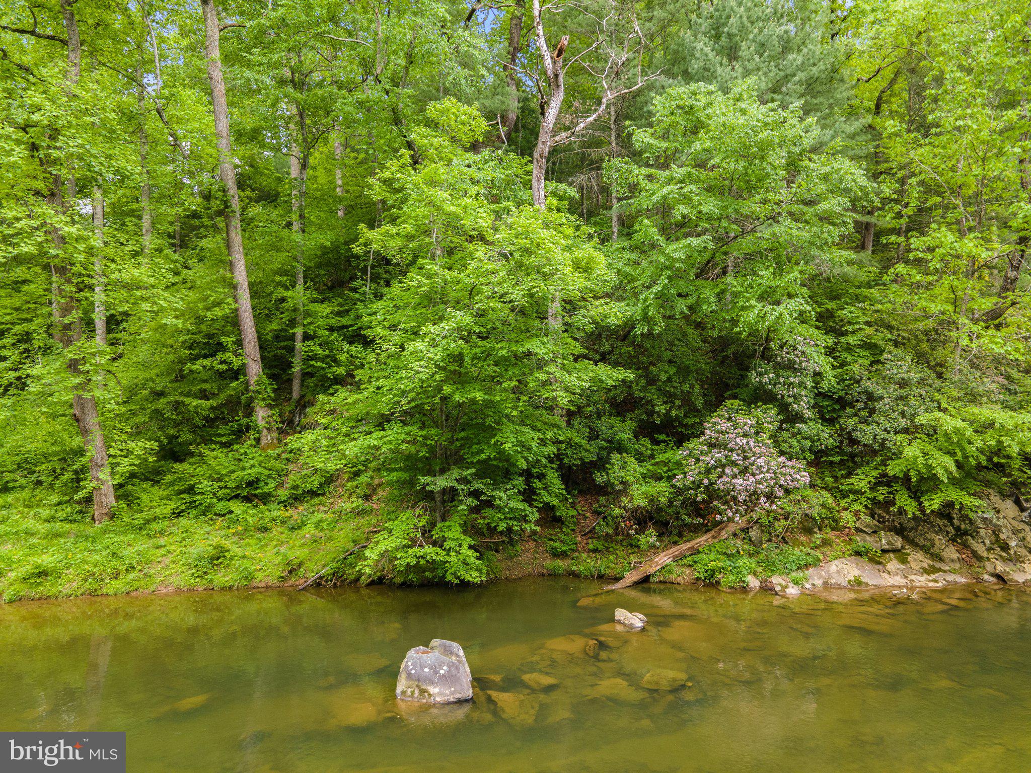 4.55 Acres Deer Lane Boston, VA 22713 - Photo 36 of 44