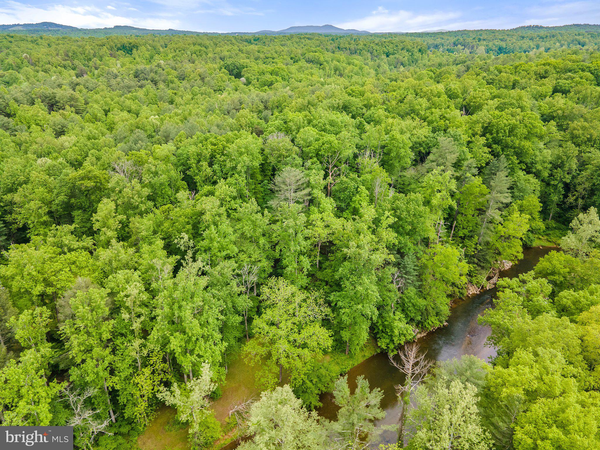 4.55 Acres Deer Lane Boston, VA 22713 - Photo 37 of 44