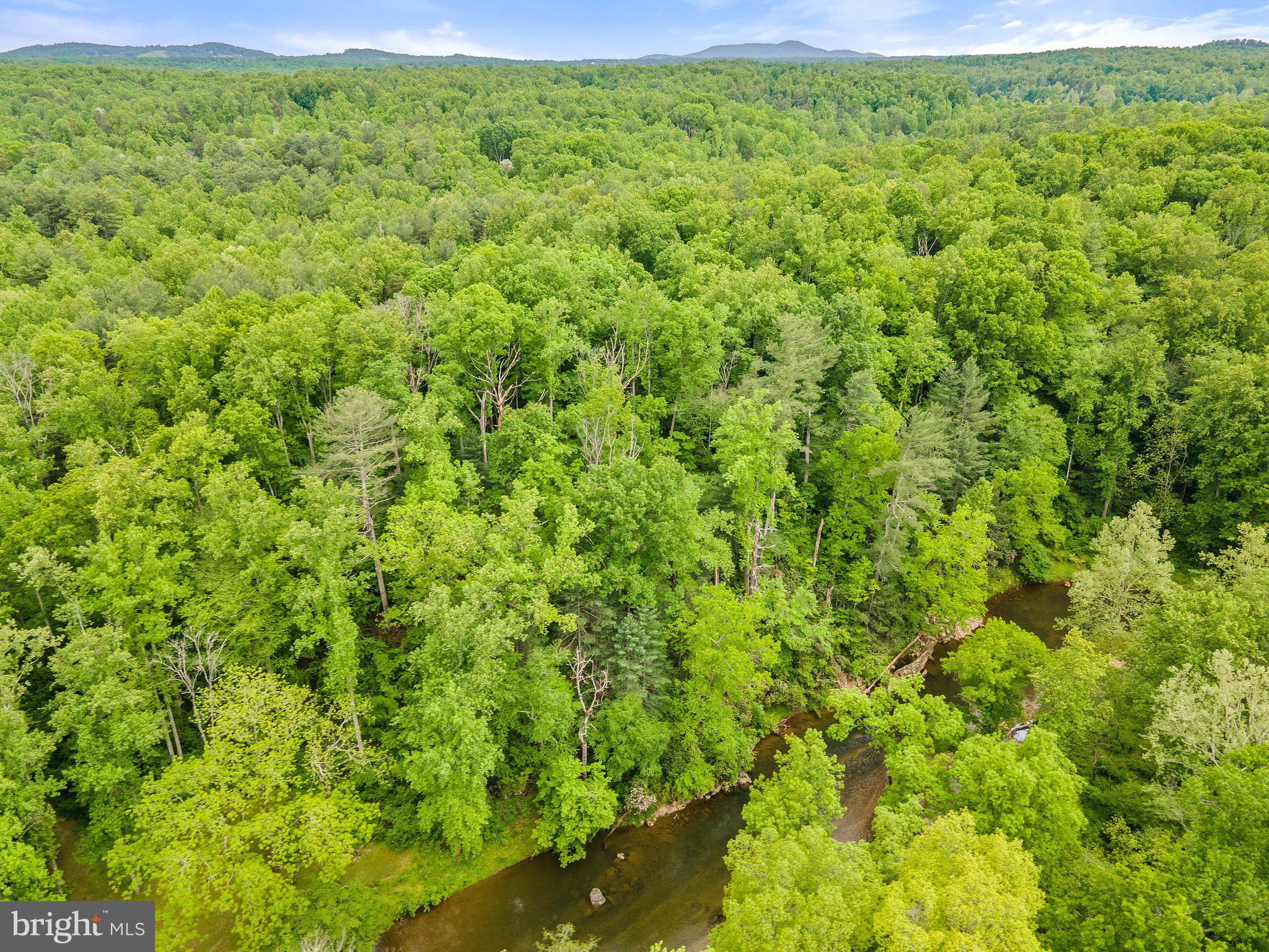 4.55 Acres Deer Lane Boston, VA 22713 - Photo 38 of 44