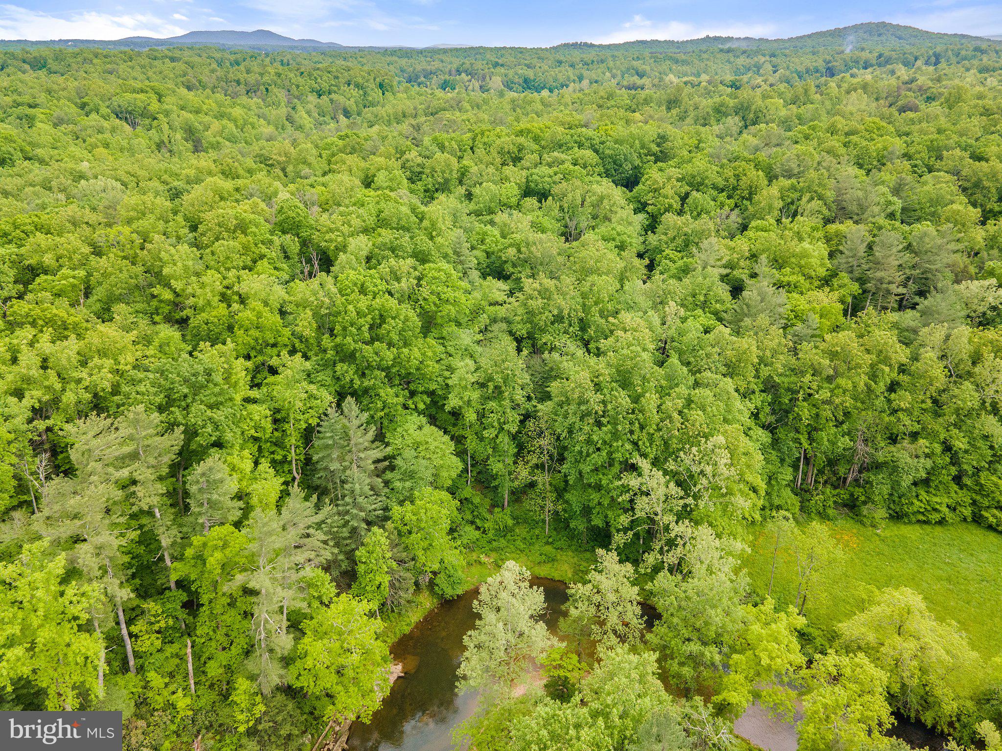 4.55 Acres Deer Lane Boston, VA 22713 - Photo 39 of 44