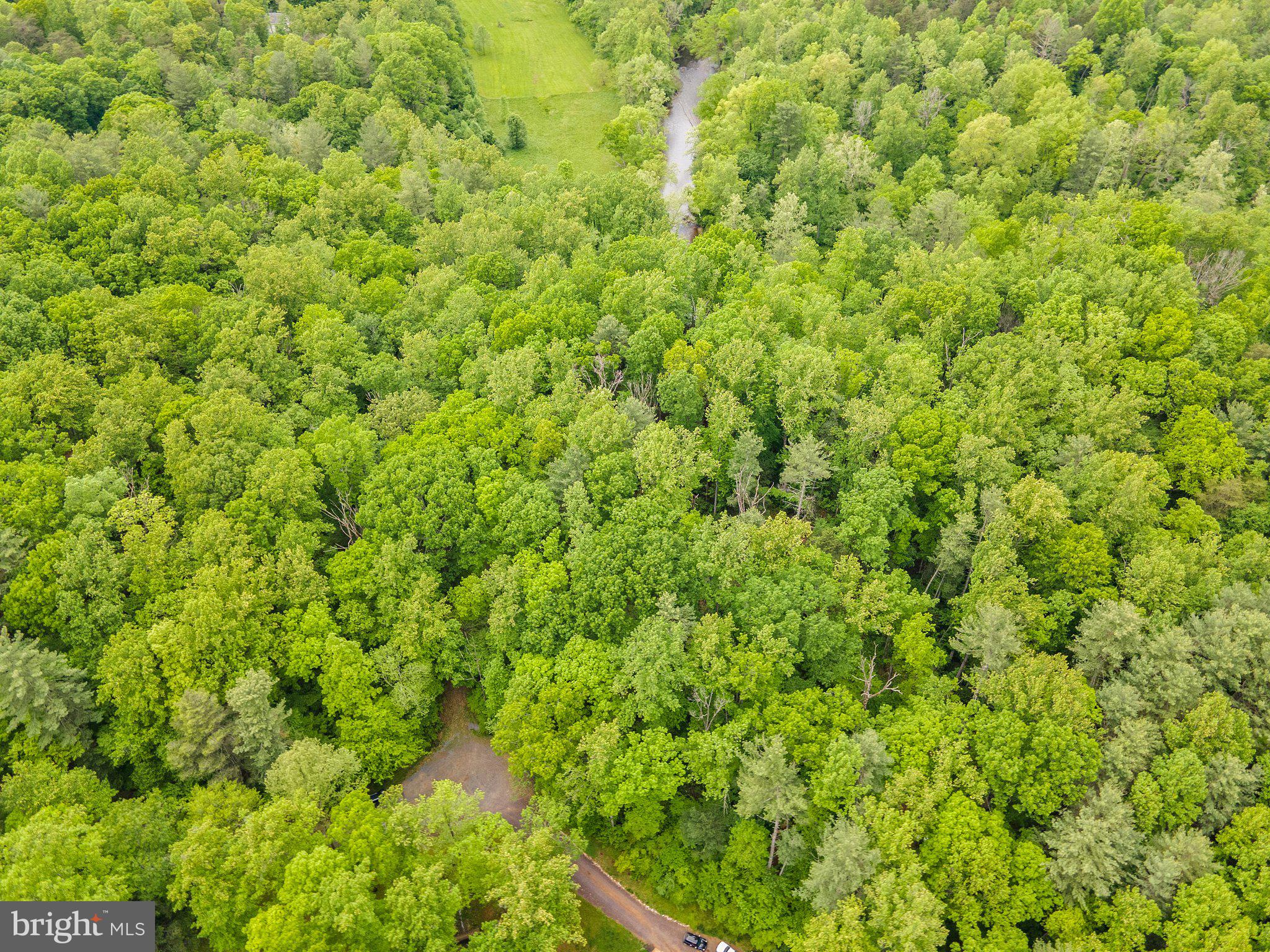4.55 Acres Deer Lane Boston, VA 22713 - Photo 40 of 44