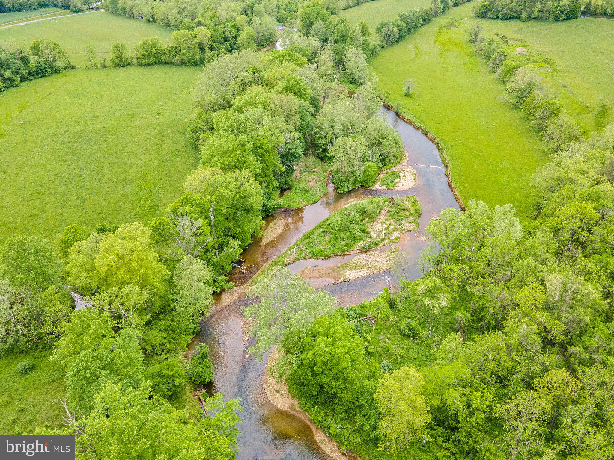 4.55 Acres Deer Lane Boston, VA 22713 - Photo 41 of 44
