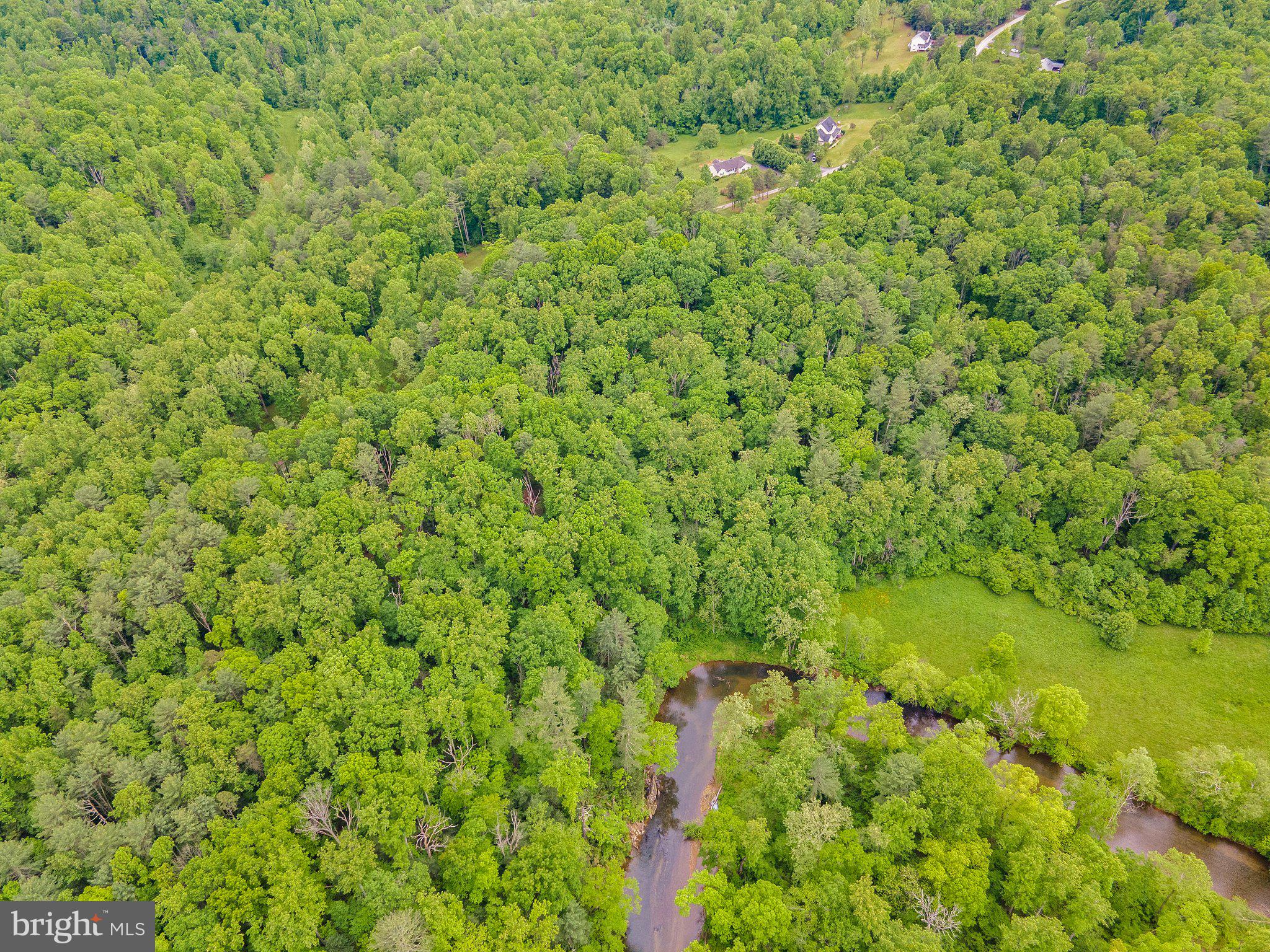 4.55 Acres Deer Lane Boston, VA 22713 - Photo 6 of 44