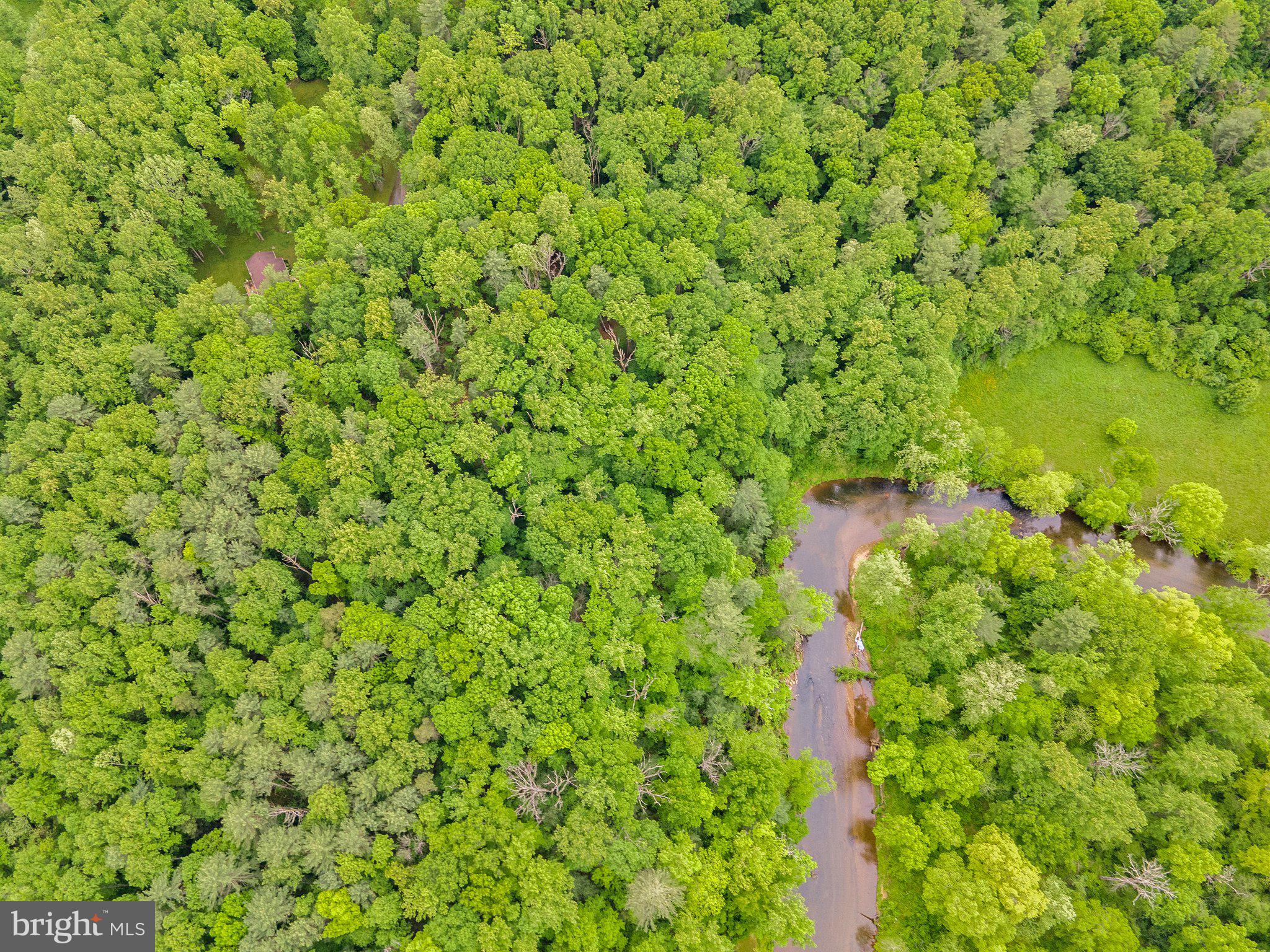 4.55 Acres Deer Lane Boston, VA 22713 - Photo 7 of 44
