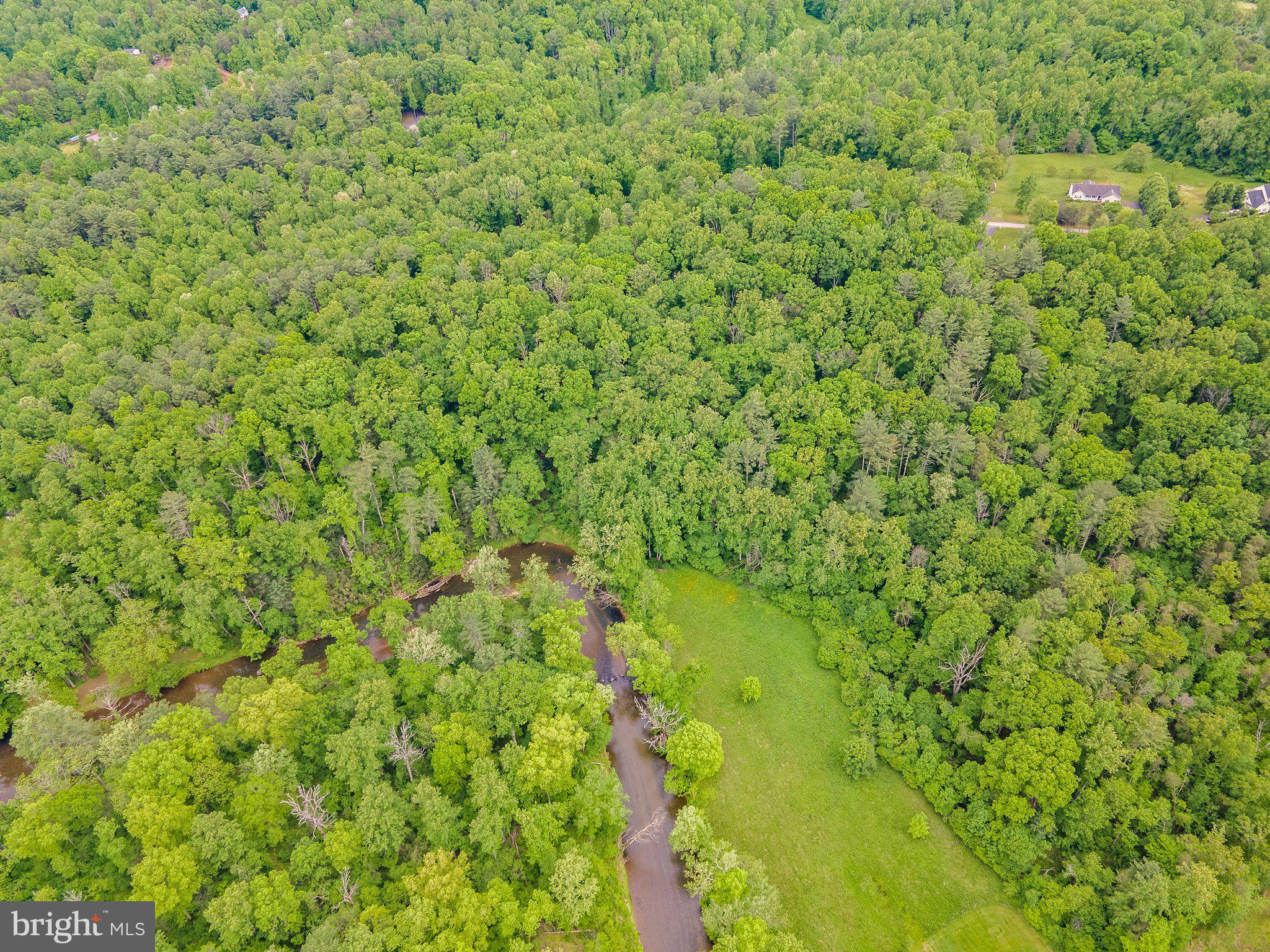 4.55 Acres Deer Lane Boston, VA 22713 - Photo 8 of 44