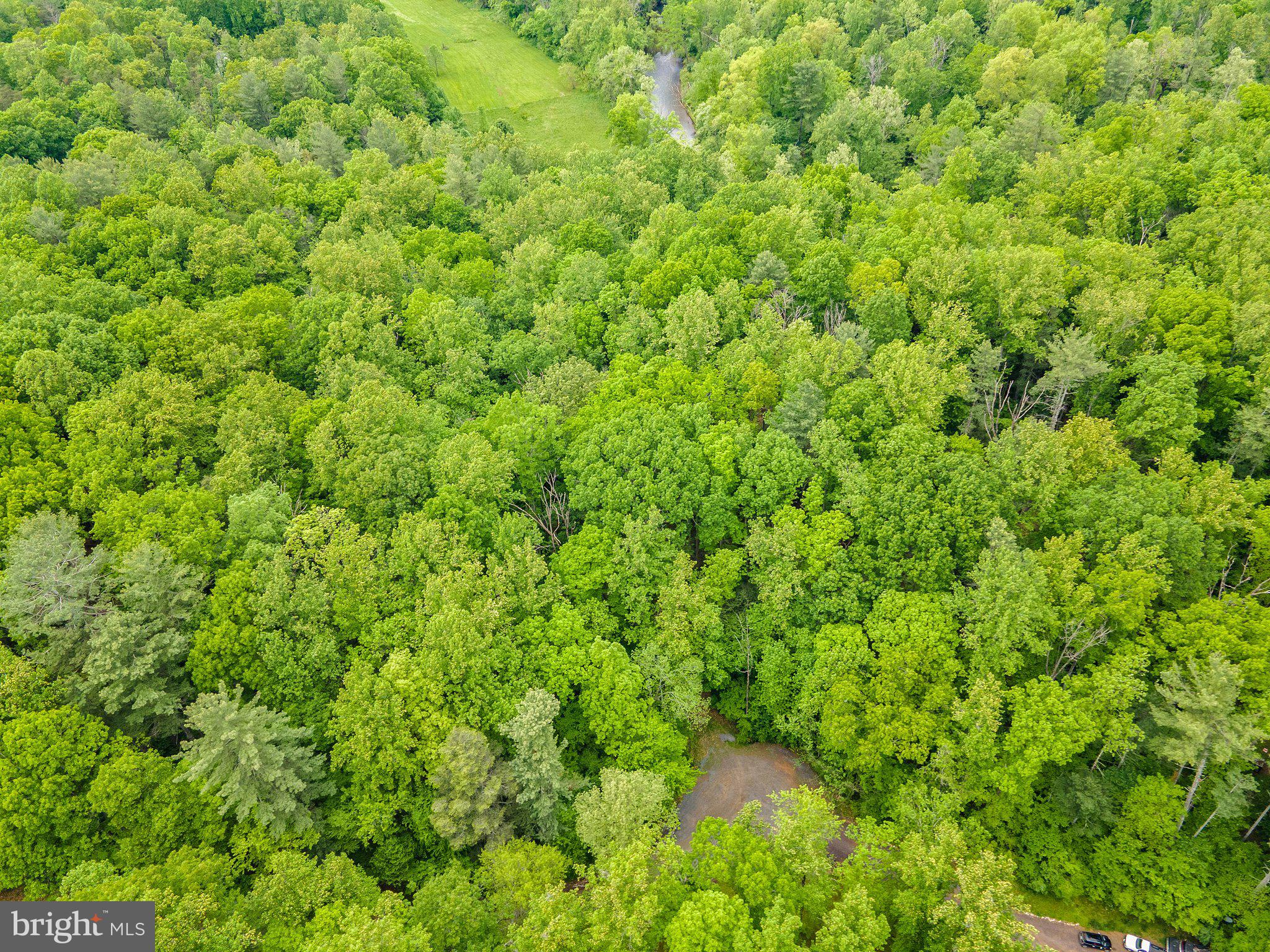 4.55 Acres Deer Lane Boston, VA 22713 - Photo 9 of 44