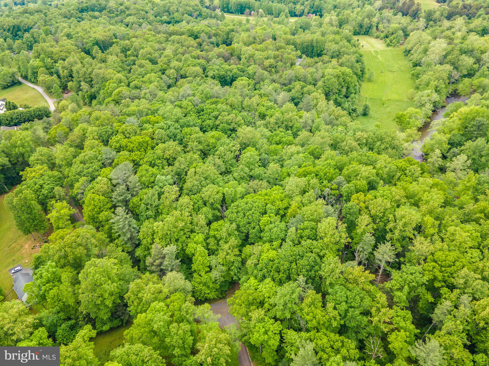 4.55 Acres Deer Lane Boston, VA 22713 - Photo 10 of 44