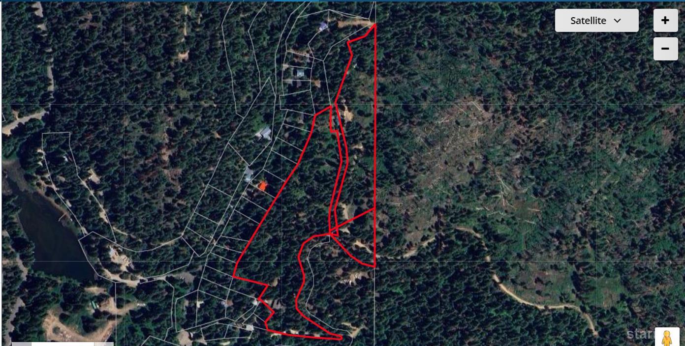 47824 Brammer-Purl Road Oakhurst, CA 93644 - Photo 4 of 40