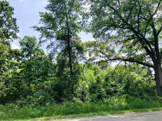 $128,900 | 9250 92nd Street Southeast, Alto, MI 49302