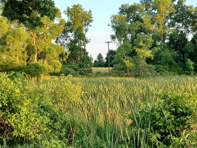 $128,900 | 9250 92nd Street Southeast, Alto, MI 49302