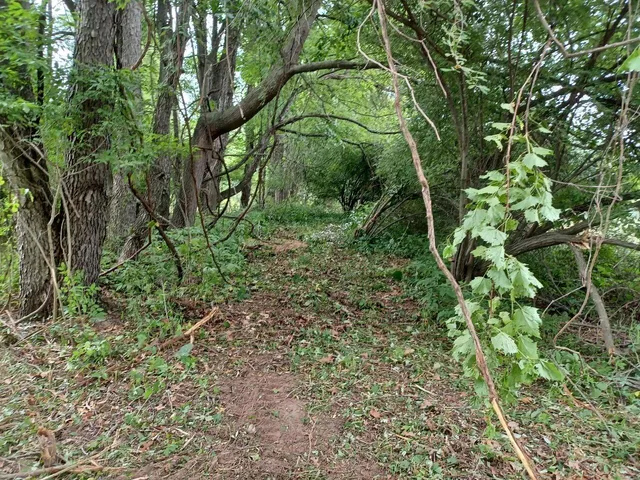 $128,900 | 9250 92nd Street Southeast, Alto, MI 49302