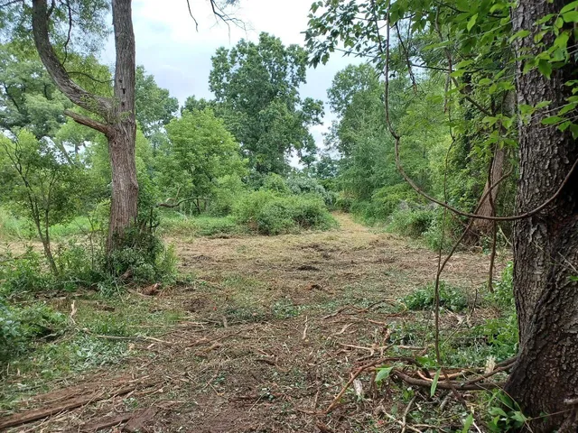 $128,900 | 9250 92nd Street Southeast, Alto, MI 49302