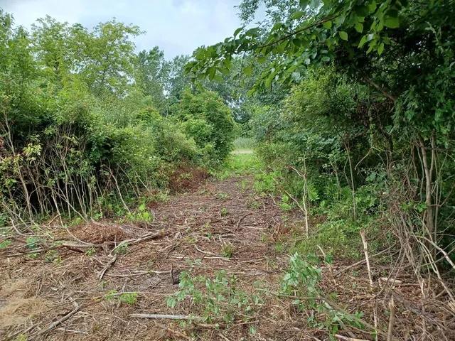 $128,900 | 9250 92nd Street Southeast, Alto, MI 49302