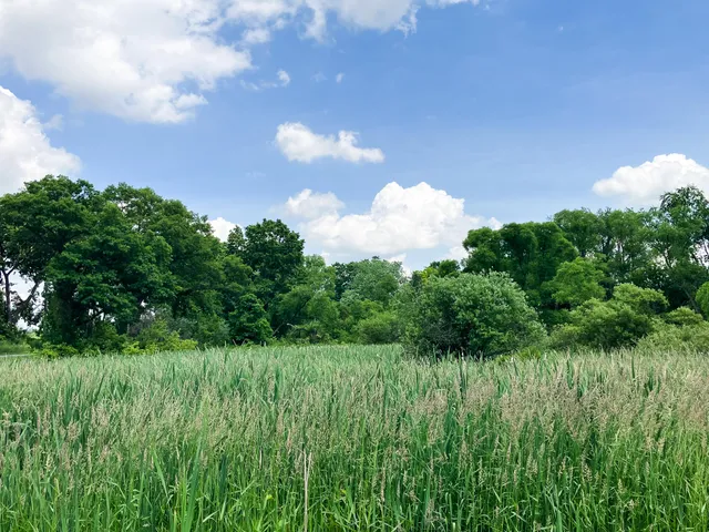 $128,900 | 9250 92nd Street Southeast, Alto, MI 49302