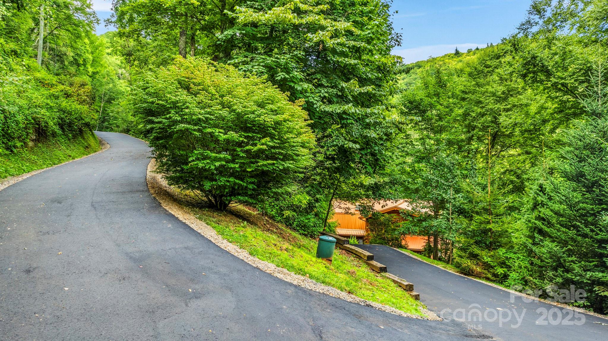 1933 Laurel Ridge North Maggie Valley, NC 28751 - Photo 11 of 45 a view of a garden with plants