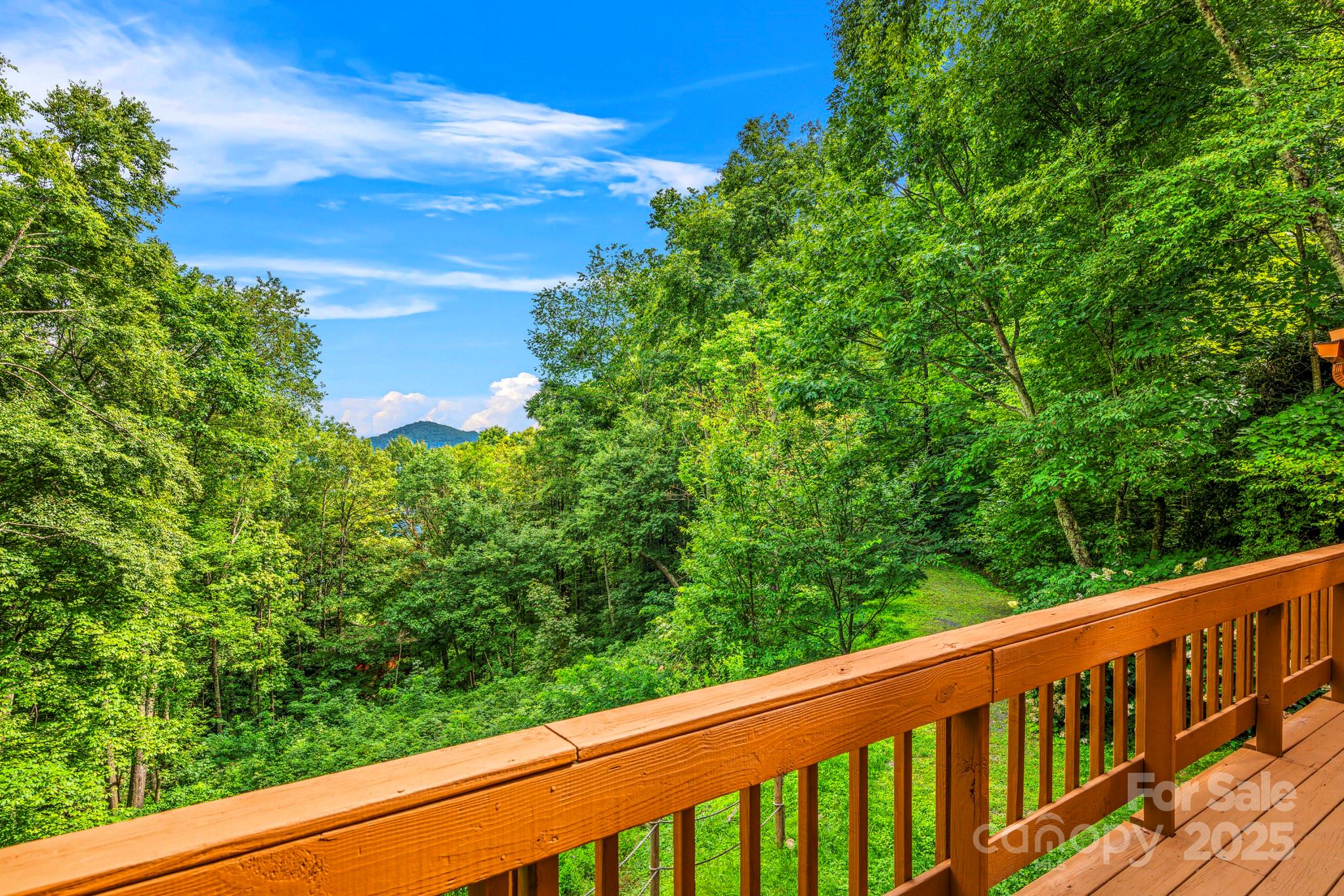1933 Laurel Ridge North Maggie Valley, NC 28751 - Photo 18 of 45 a balcony with trees in the background