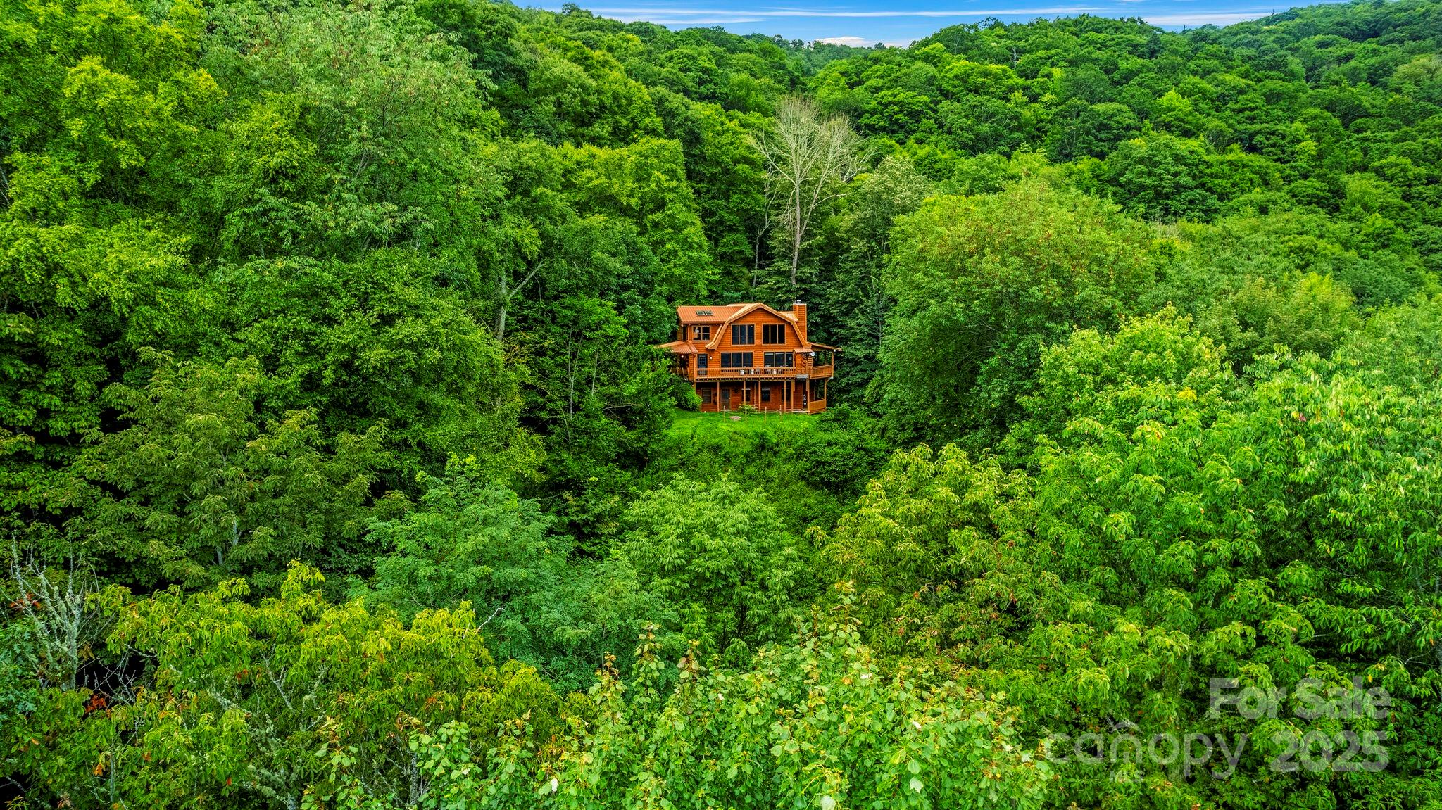1933 Laurel Ridge North Maggie Valley, NC 28751 - Photo 4 of 45 a backyard of a house with large trees and plants