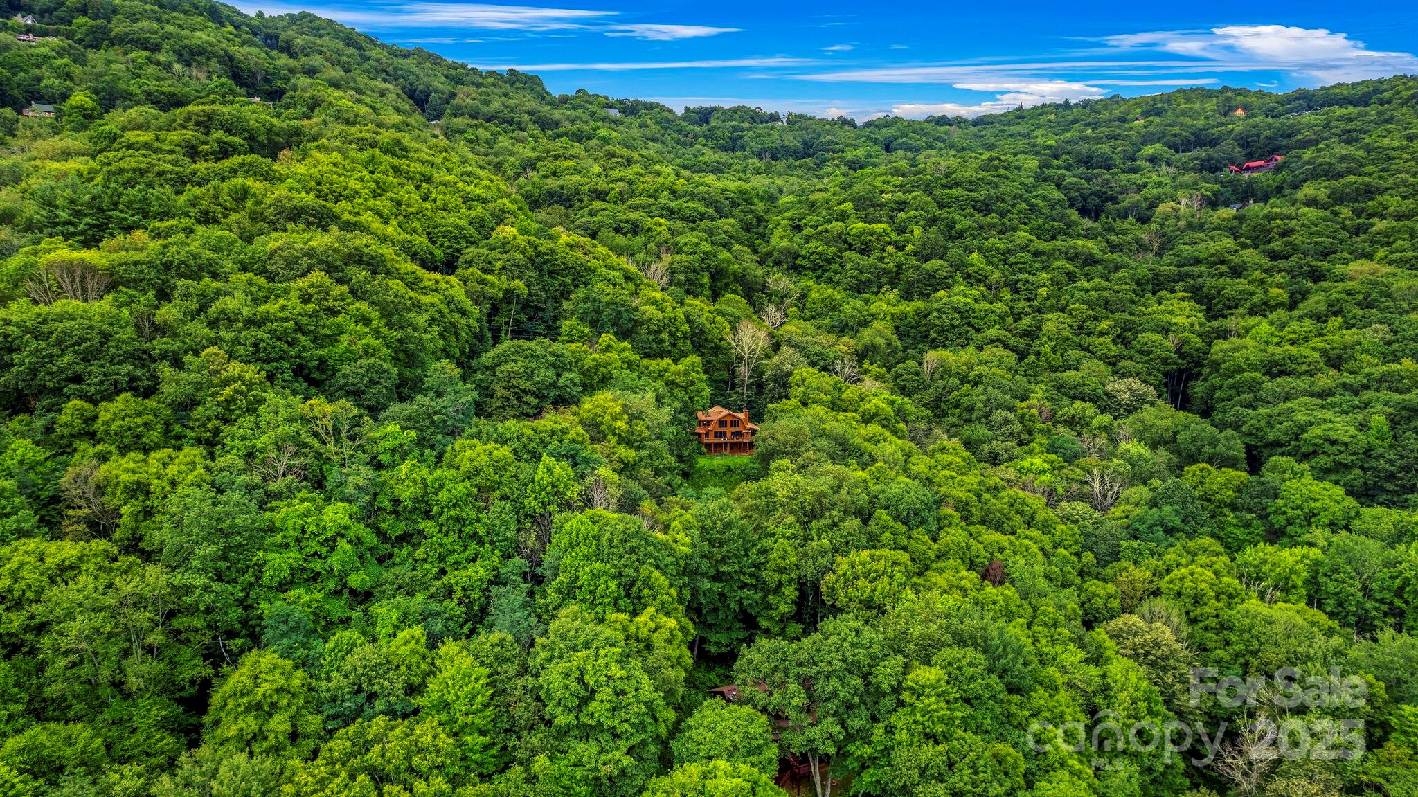 1933 Laurel Ridge North Maggie Valley, NC 28751 - Photo 5 of 45 a view of a green field