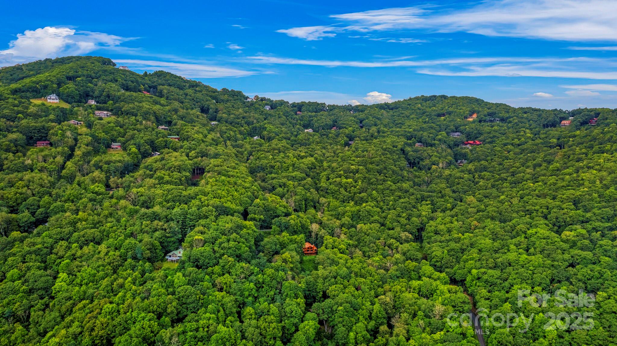 1933 Laurel Ridge North Maggie Valley, NC 28751 - Photo 6 of 45 a view of a big yard with lots of green space