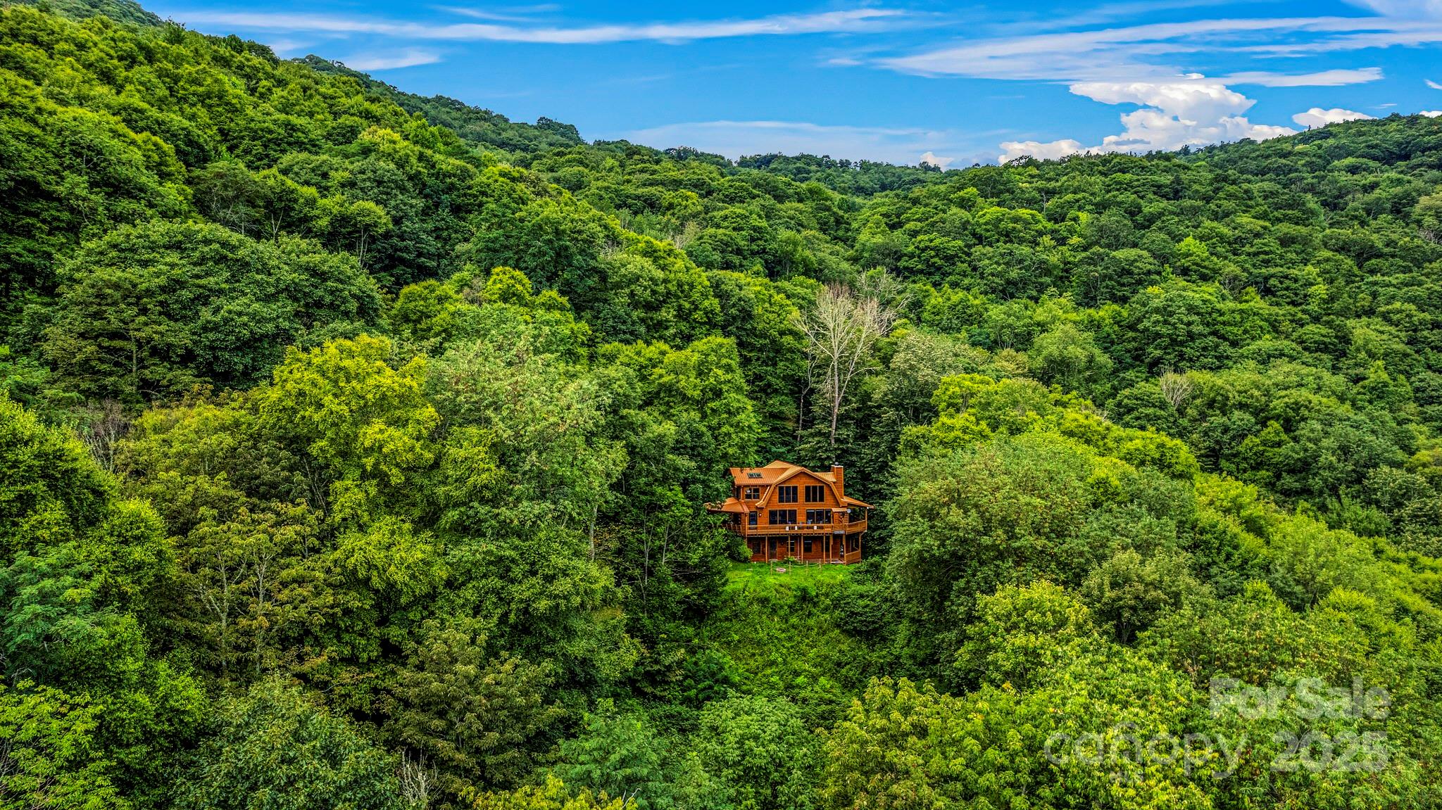1933 Laurel Ridge North Maggie Valley, NC 28751 - Photo 9 of 45 a view of a green field with lots of bushes