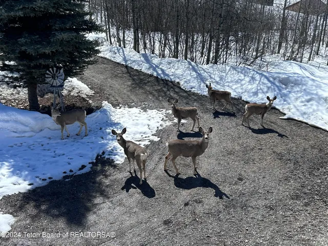 $1,995,000 | 144 Roberts Road, Etna, WY 83118