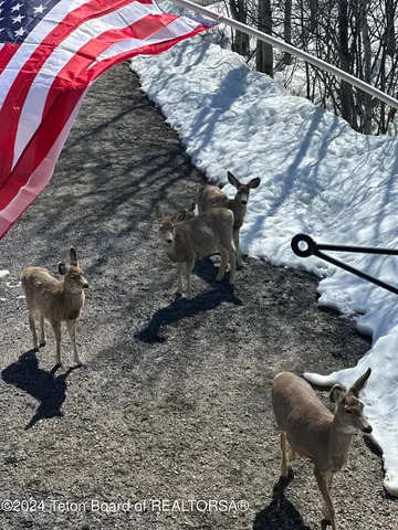 $1,995,000 | 144 Roberts Road, Etna, WY 83118