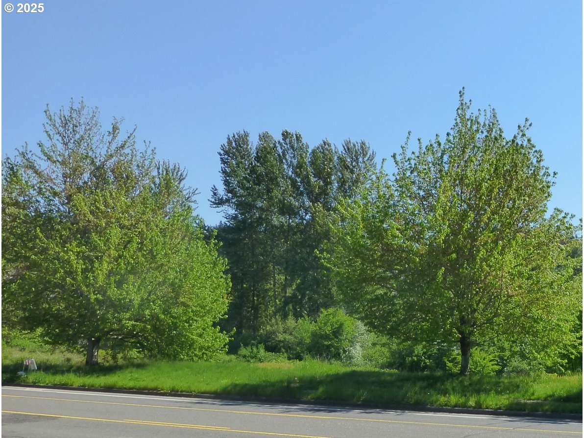 13888 Southeast King Road Happy Valley, OR 97086 - Photo 2 of 22 Gallery Image 2