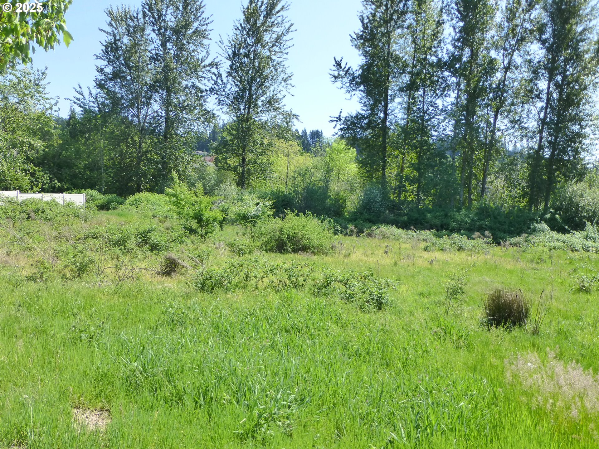 13888 Southeast King Road Happy Valley, OR 97086 - Photo 3 of 22 Gallery Image 3