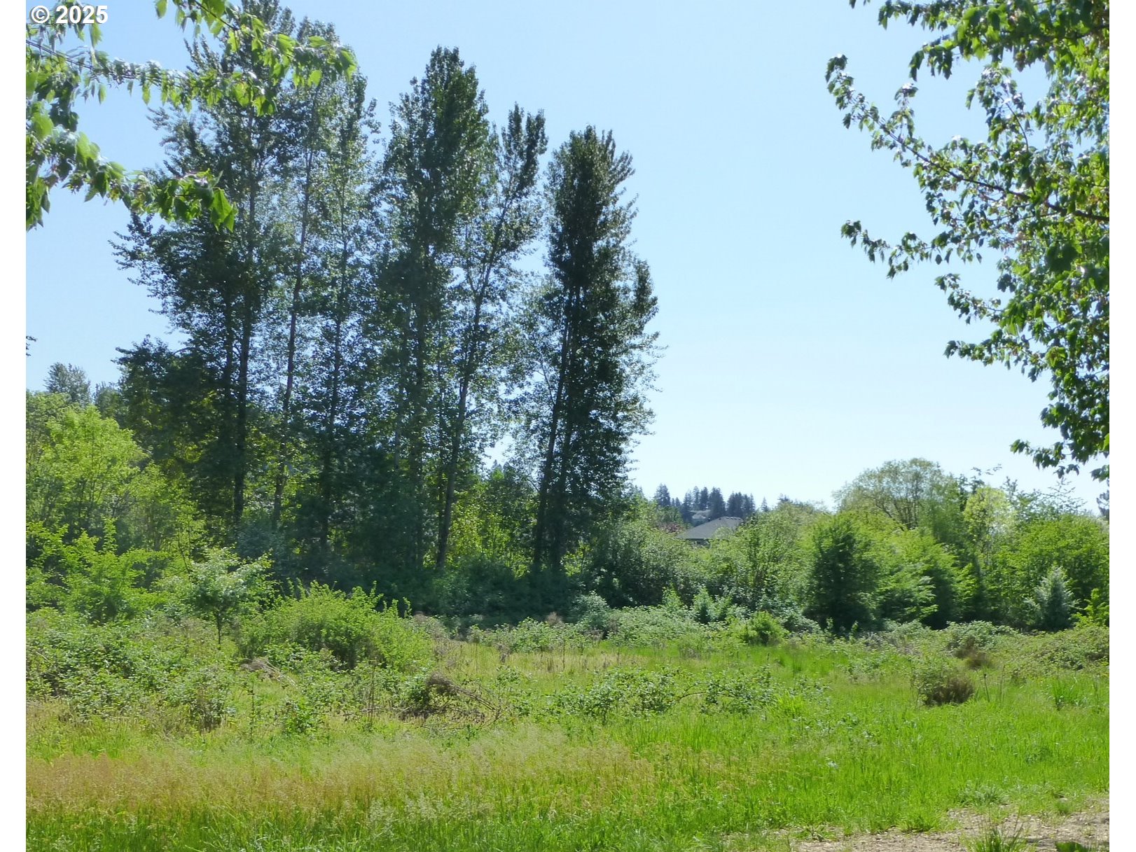 13888 Southeast King Road Happy Valley, OR 97086 - Photo 4 of 22 Gallery Image 4