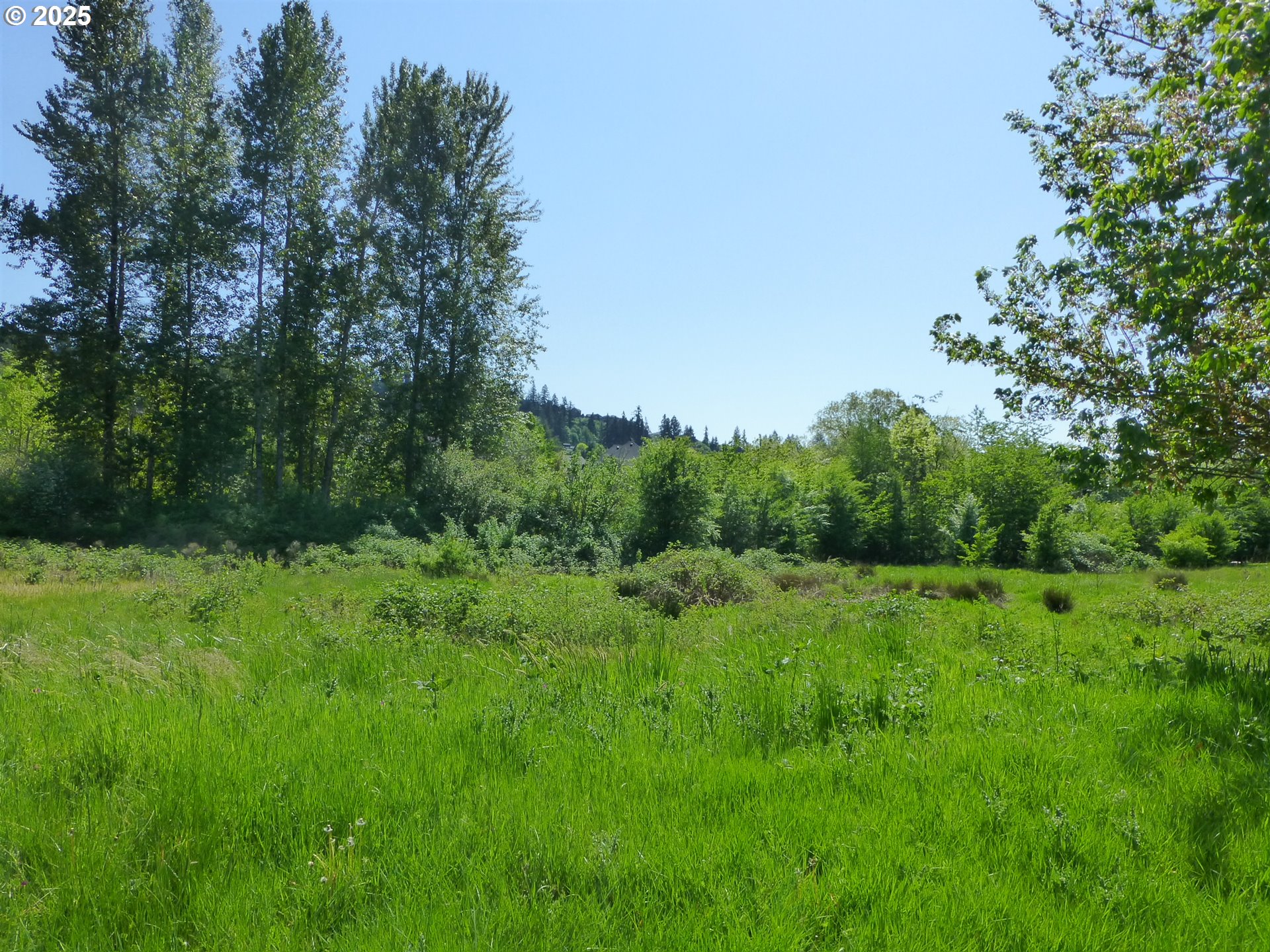 13888 Southeast King Road Happy Valley, OR 97086 - Photo 5 of 22 Gallery Image 5