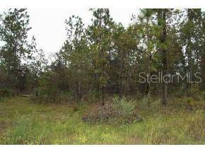 0 Southwest 165th Avenue Road Ocala, FL 34481 - Photo 1 of 1 Primary Photo