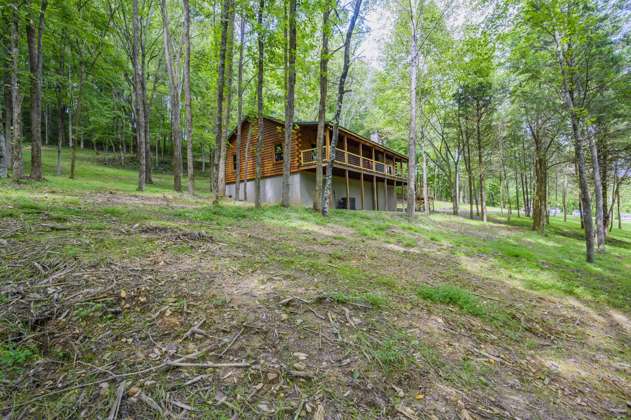 49 Dog Branch Road Pleasant Shade, TN 37145 - Photo 1 of 22