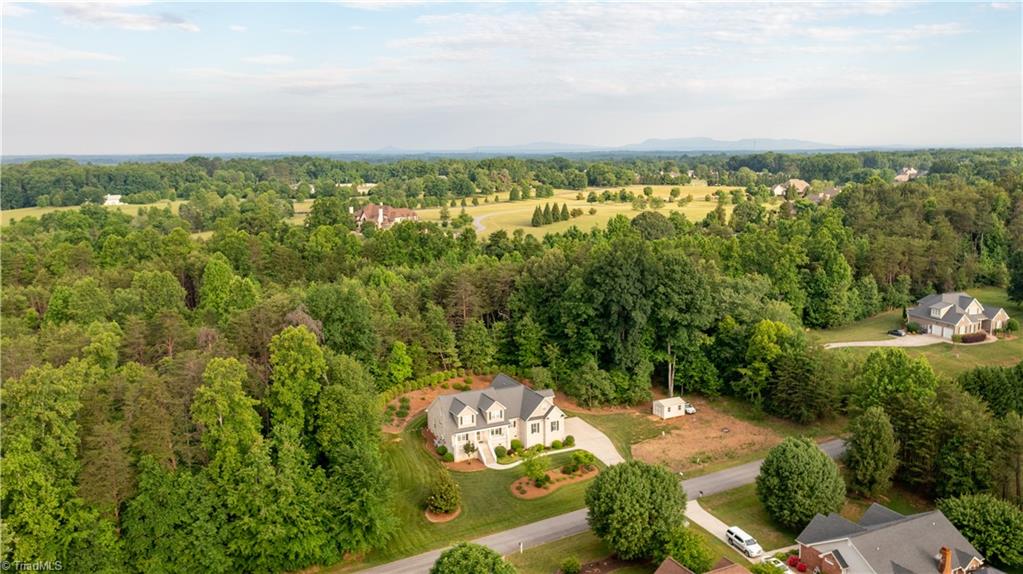 7309 Lee's Ridge Road Oak Ridge, NC 27310 - Photo 3 of 35