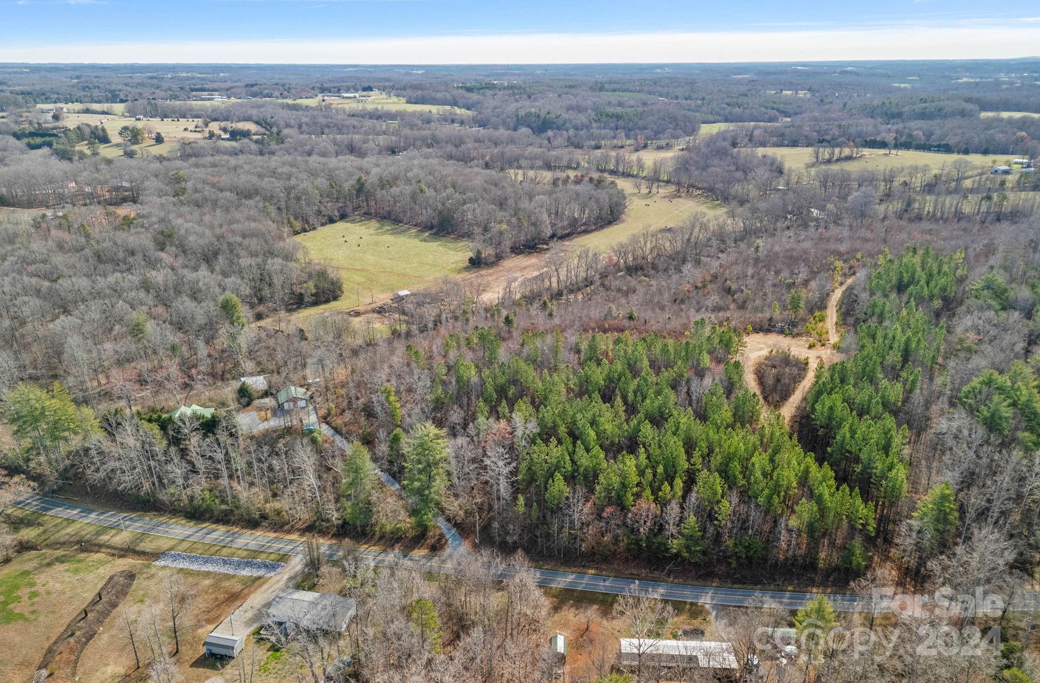 356 Eupeptic Springs Road Olin, NC 28660 - Photo 33 of 48 a view of a dry yard with trees
