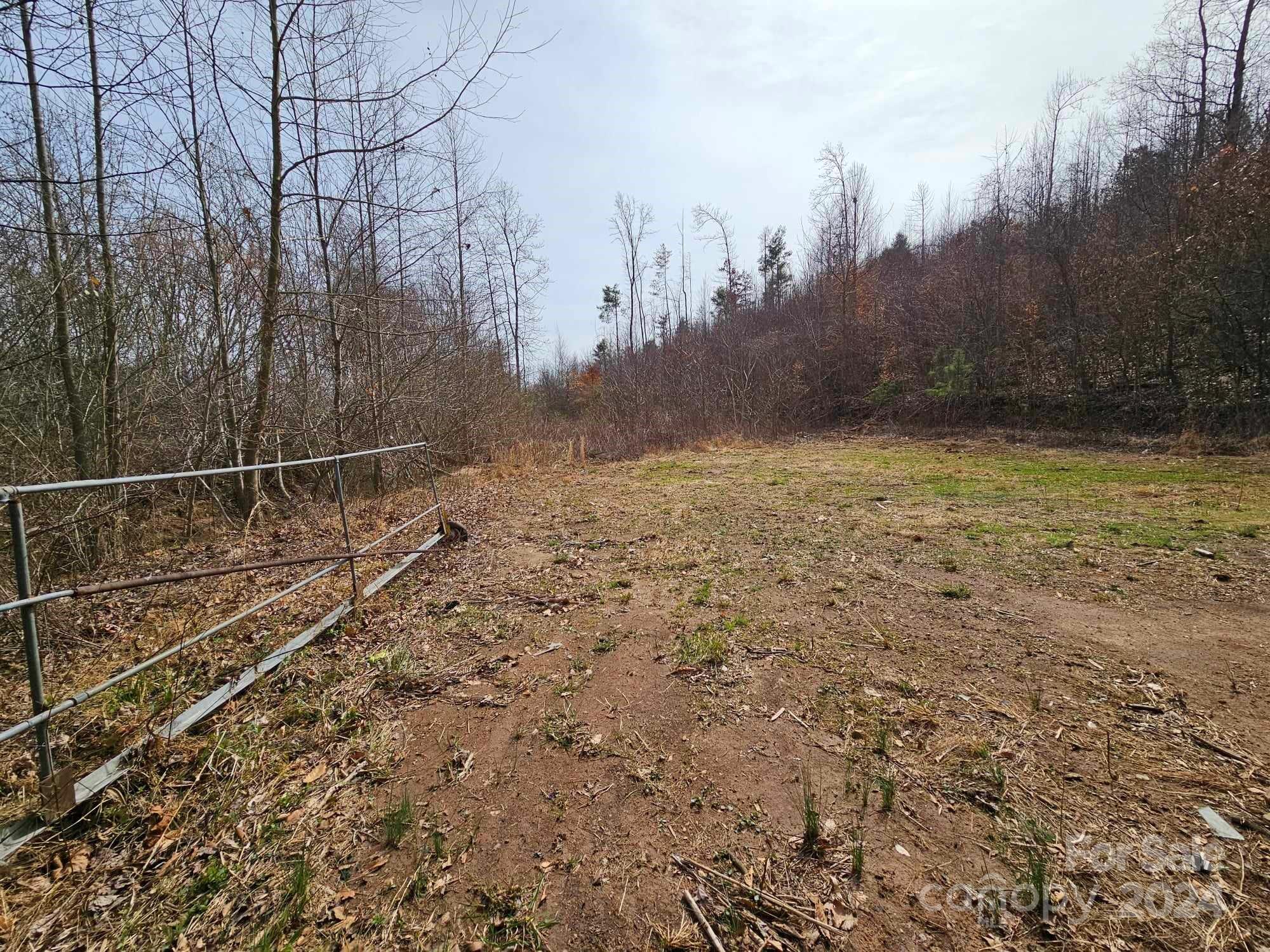 356 Eupeptic Springs Road Olin, NC 28660 - Photo 43 of 48 a view of a yard with trees
