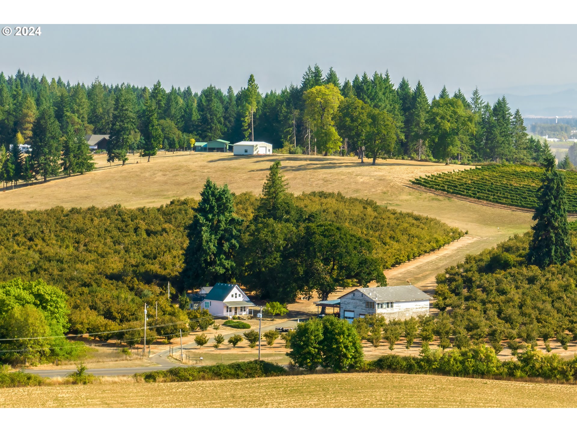26413 Franklin Road Junction City, OR 97448 - Photo 2 of 44 a view of a yard