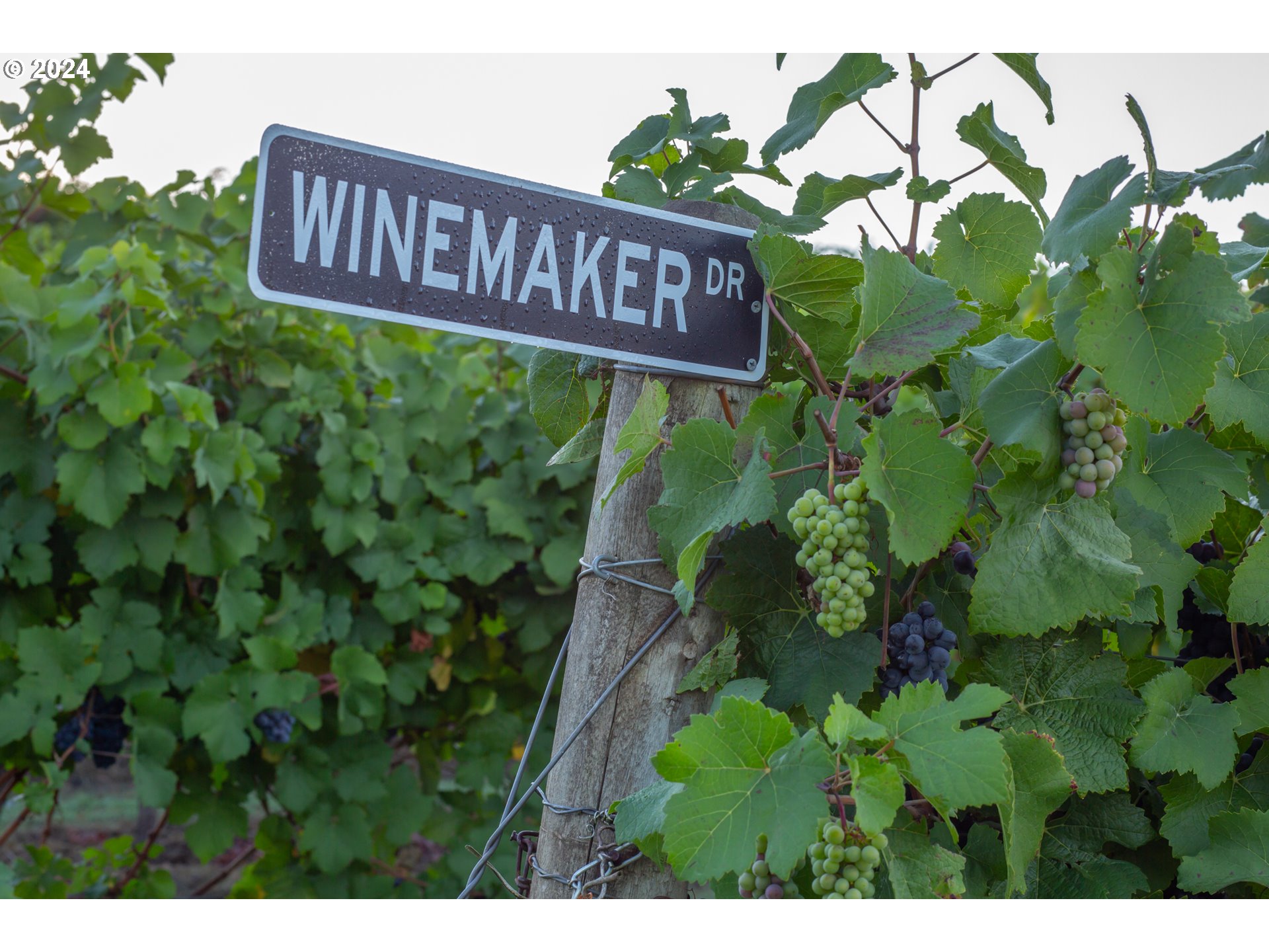 26413 Franklin Road Junction City, OR 97448 - Photo 26 of 44 a sign that is sitting in front of a tree