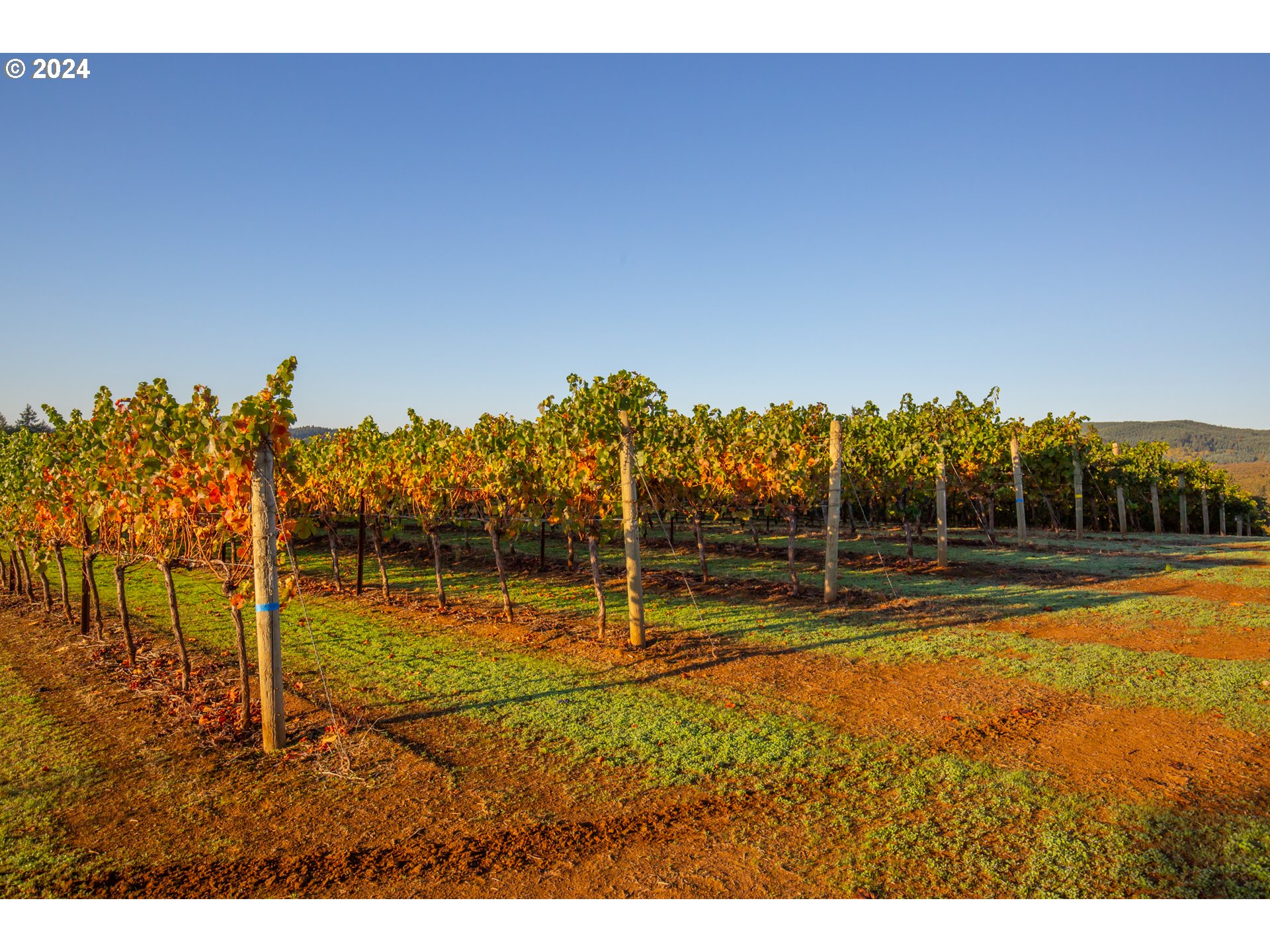 26413 Franklin Road Junction City, OR 97448 - Photo 28 of 44 a view of a swimming pool with an outdoor seating