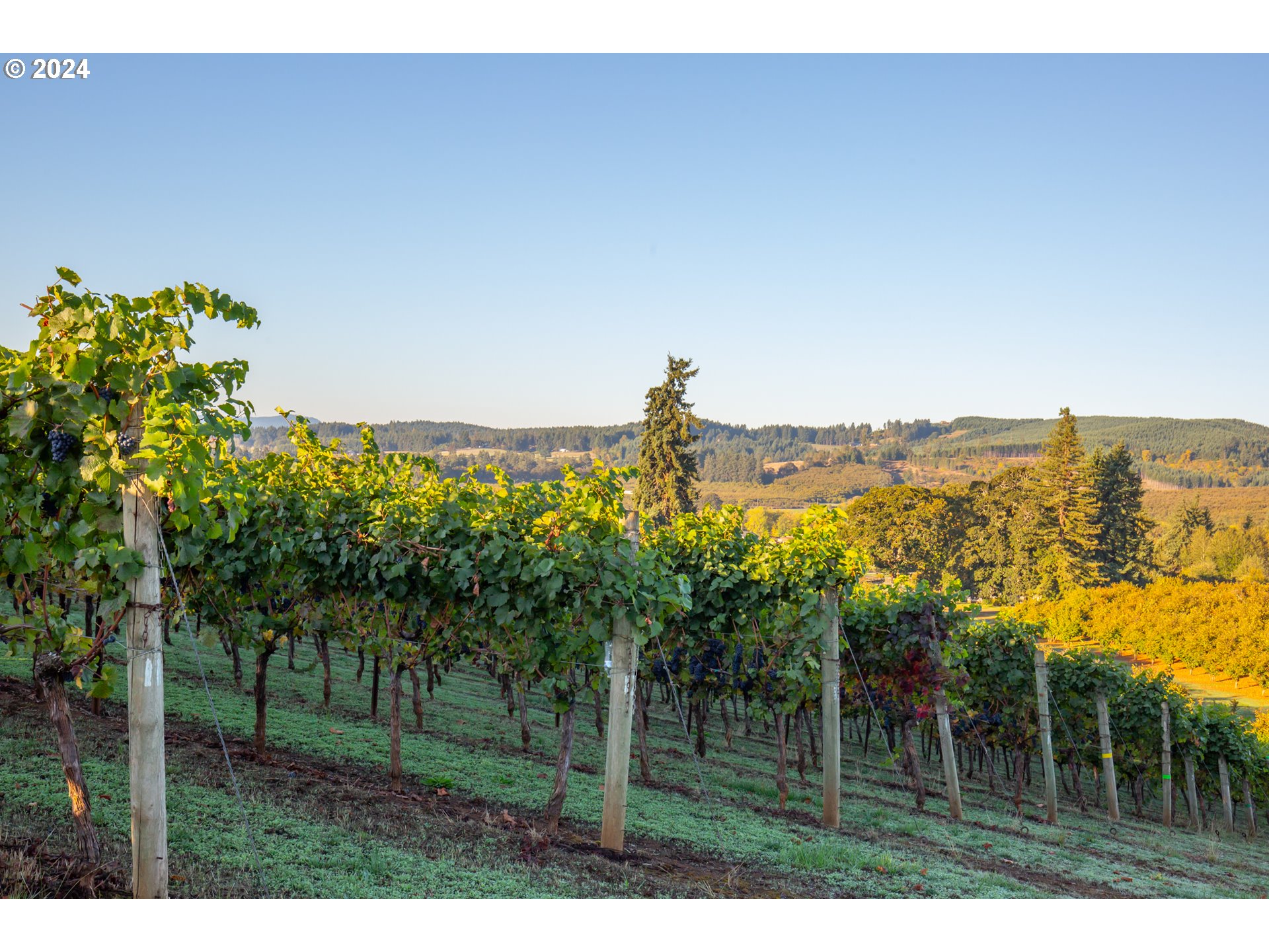 26413 Franklin Road Junction City, OR 97448 - Photo 30 of 44