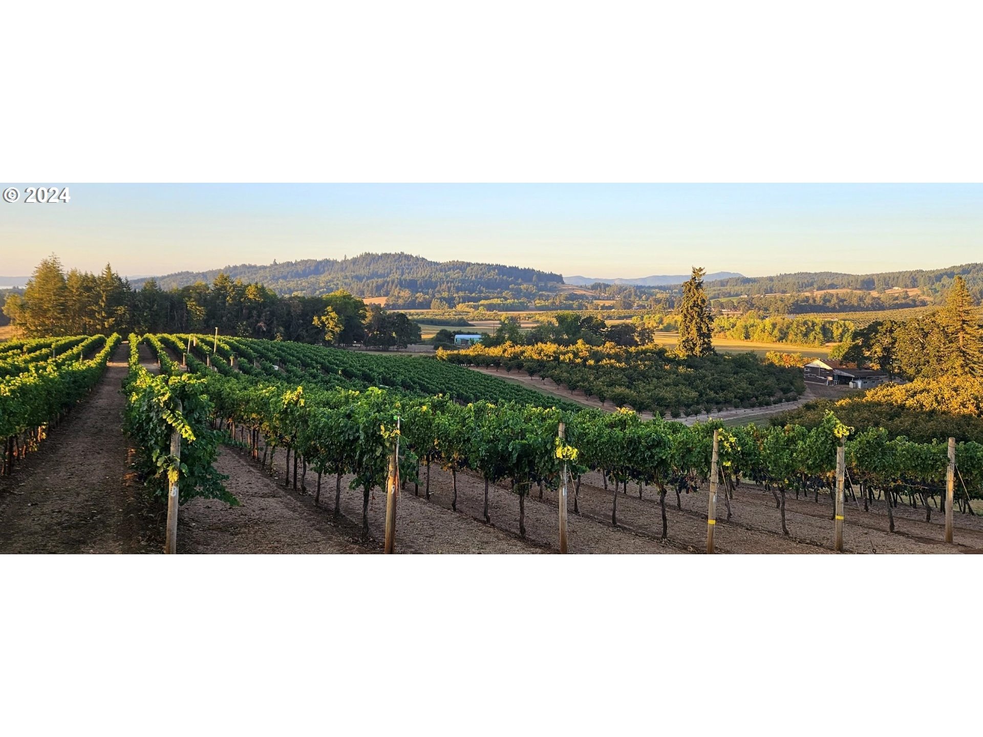 26413 Franklin Road Junction City, OR 97448 - Photo 3 of 44 a view of a terrace